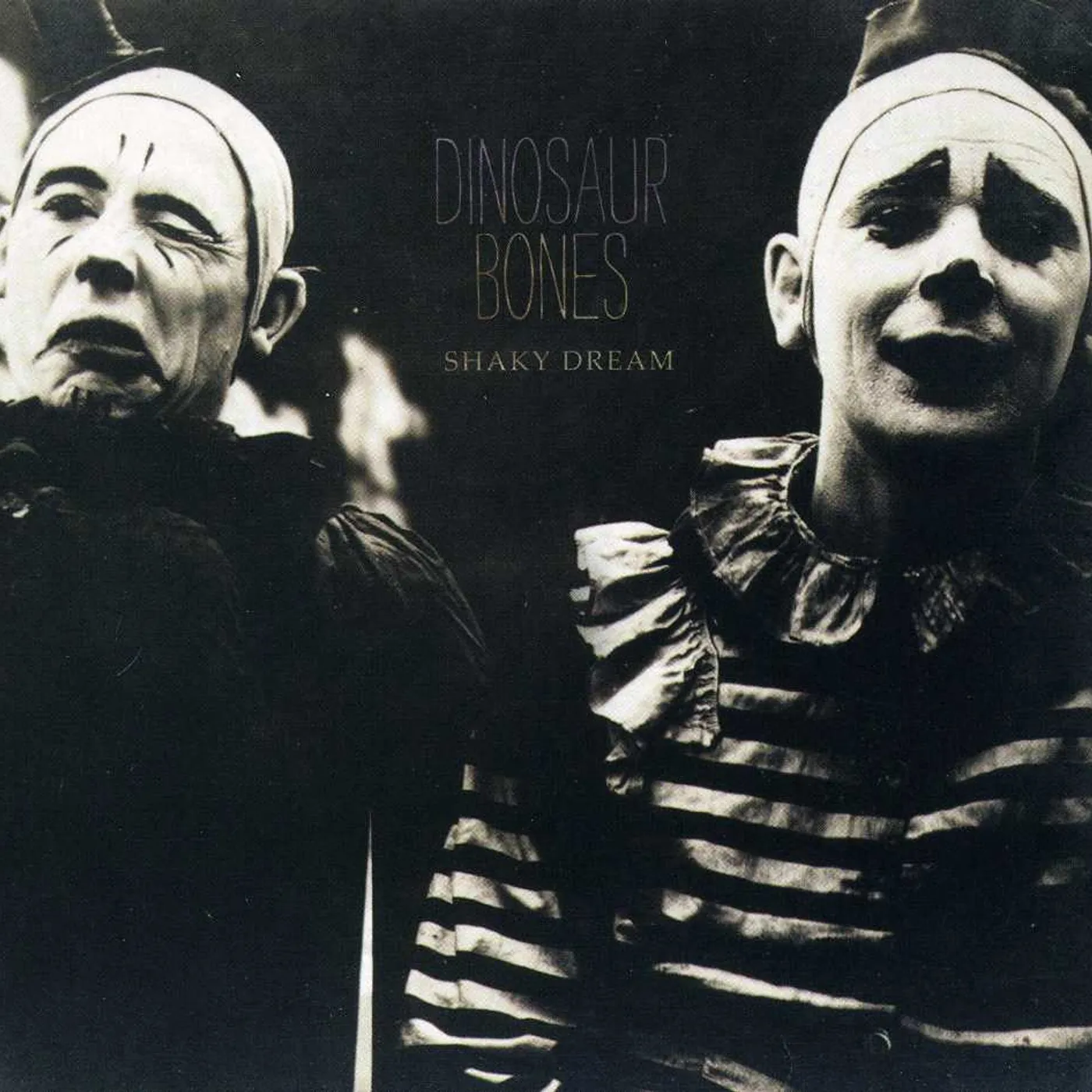 Dinosaur Bones SHAKY DREAM CD