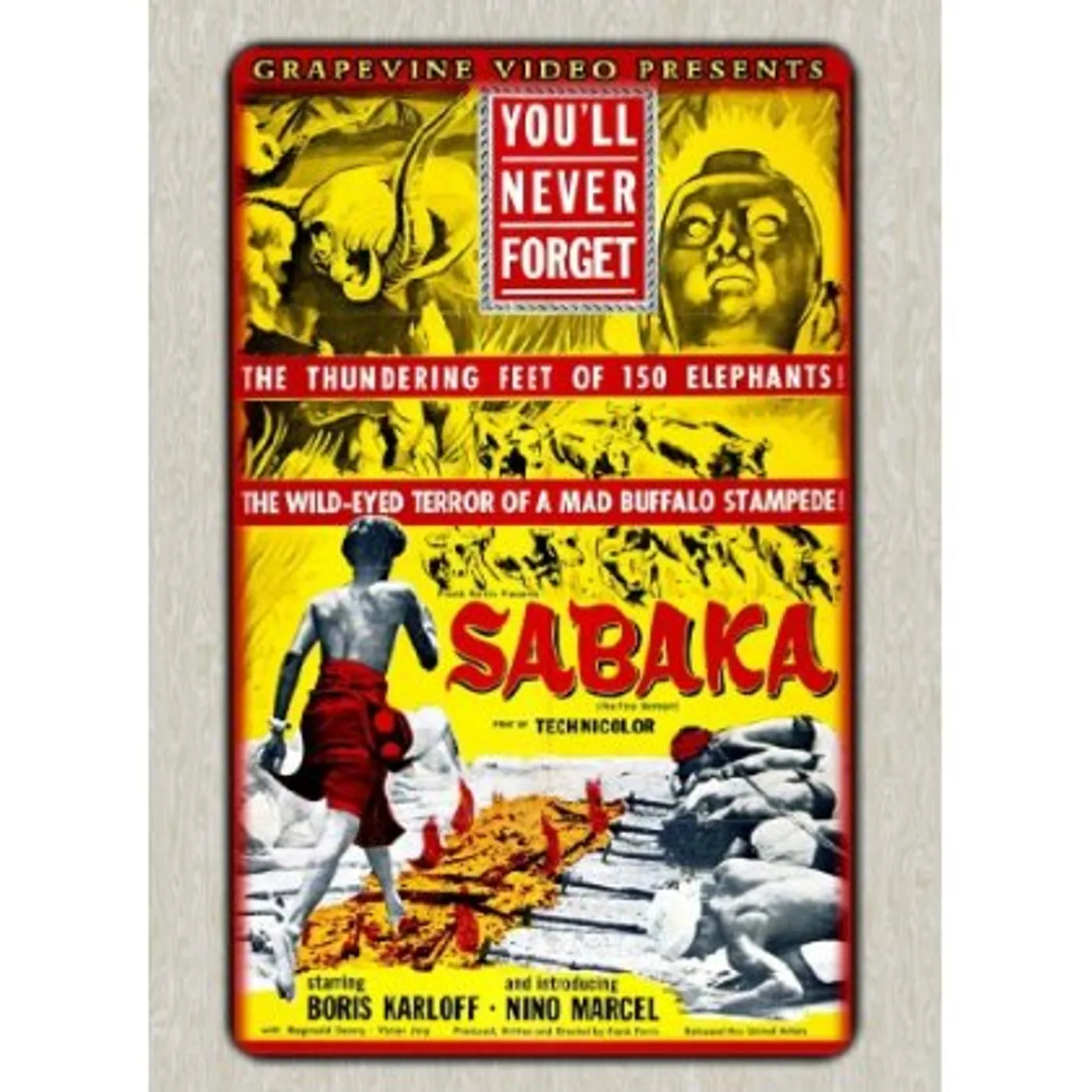 SABAKA DVD