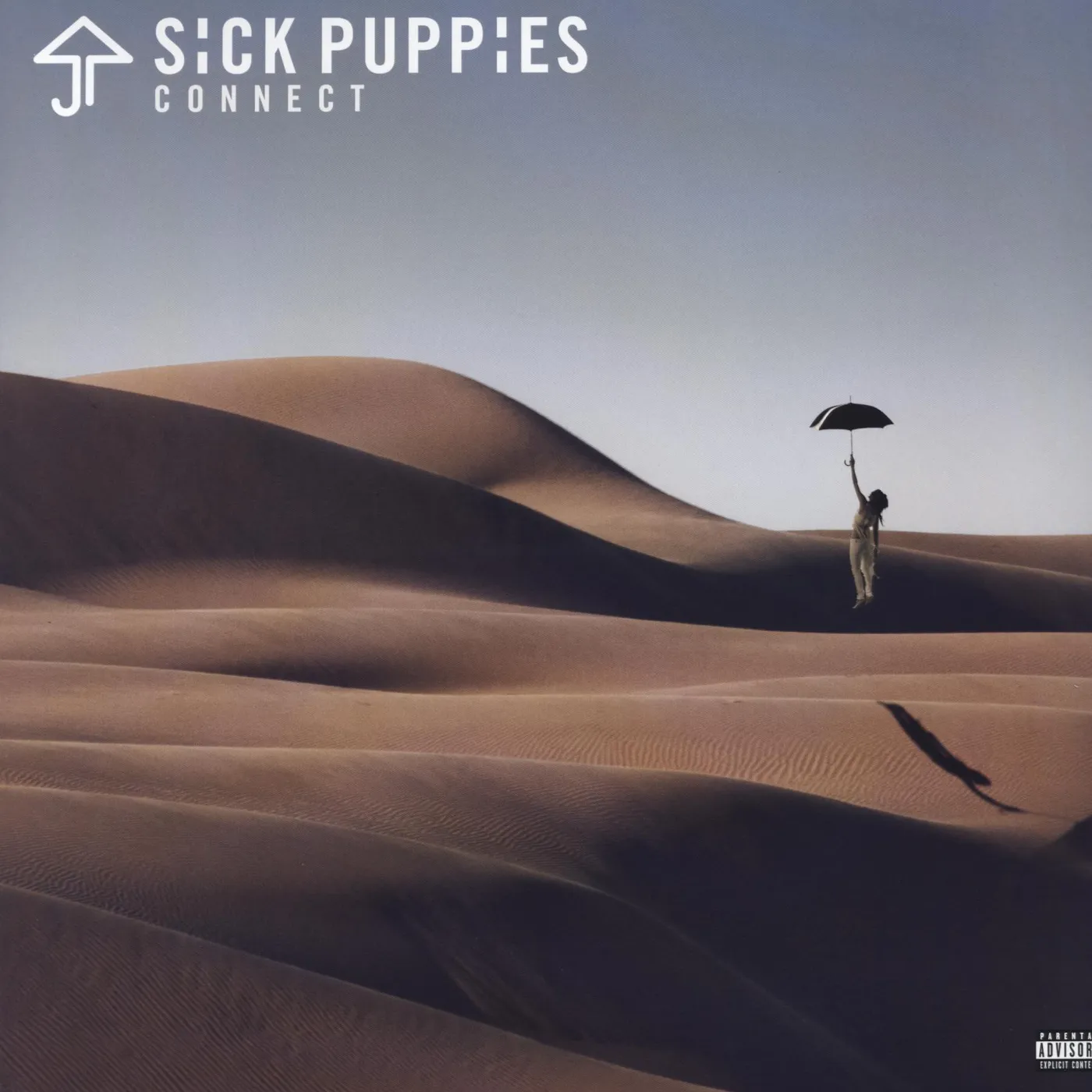 SICK PUPPIES Connect Vinyl Record
