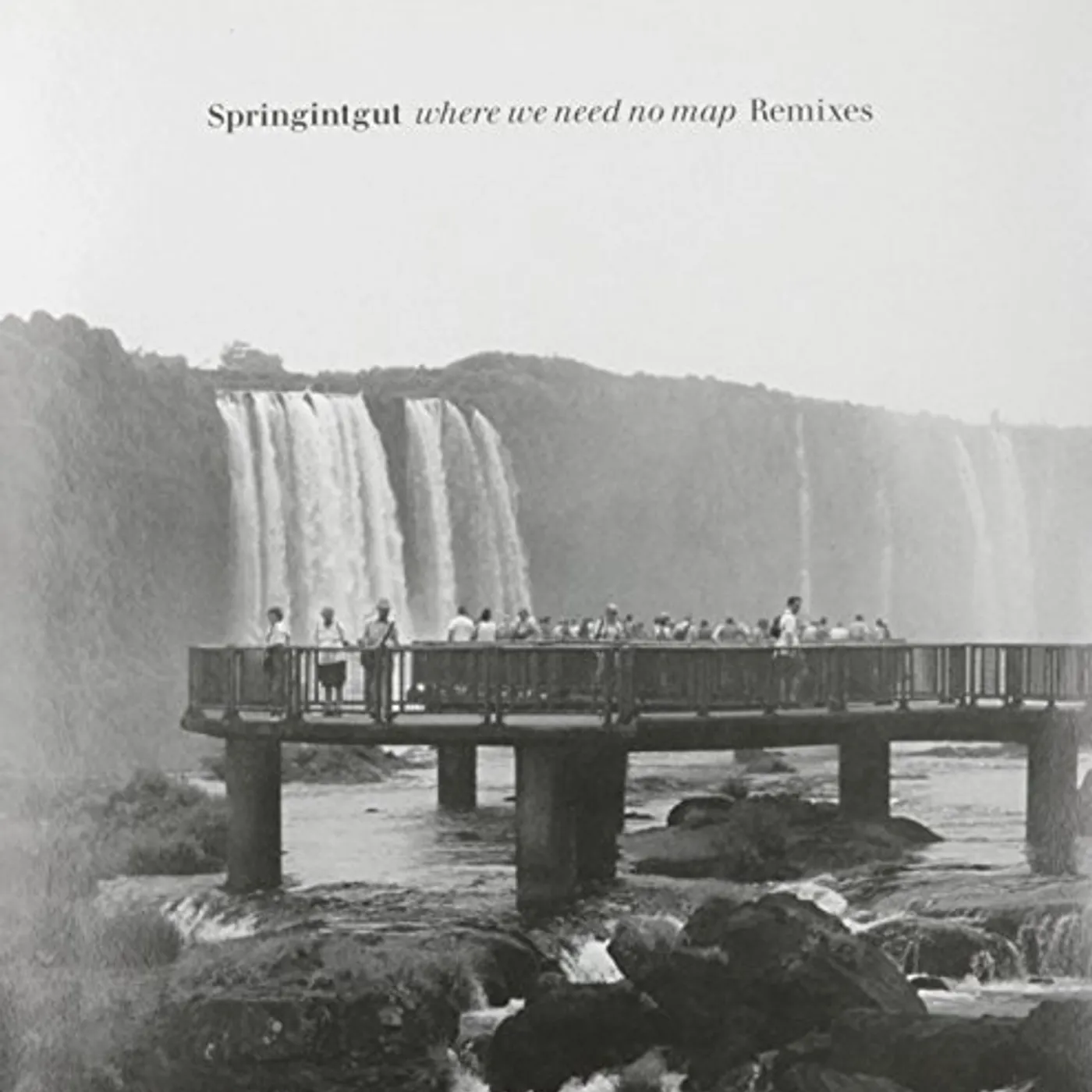 Springintgut WHERE WE NEED NO MAP: REMIXES Vinyl Record