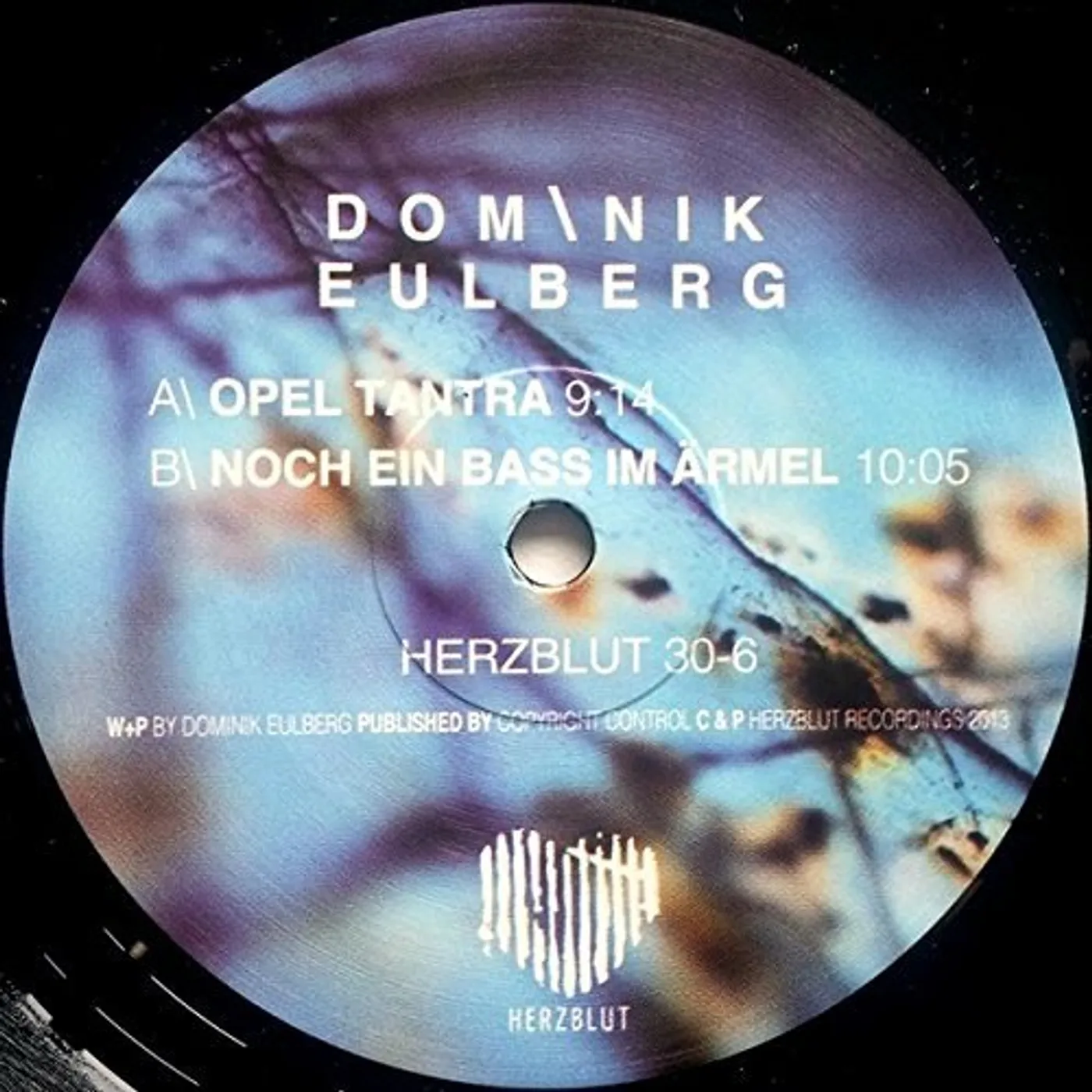 Dominik Eulberg Backslash Vinyl Record