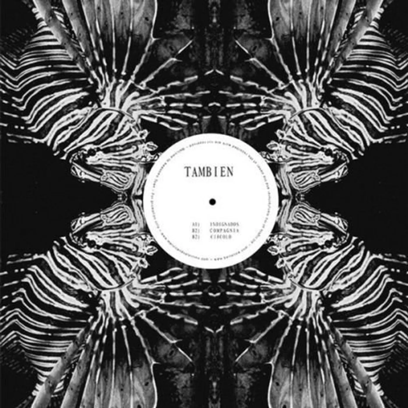 TAMBIEN PROJECT Vinyl Record