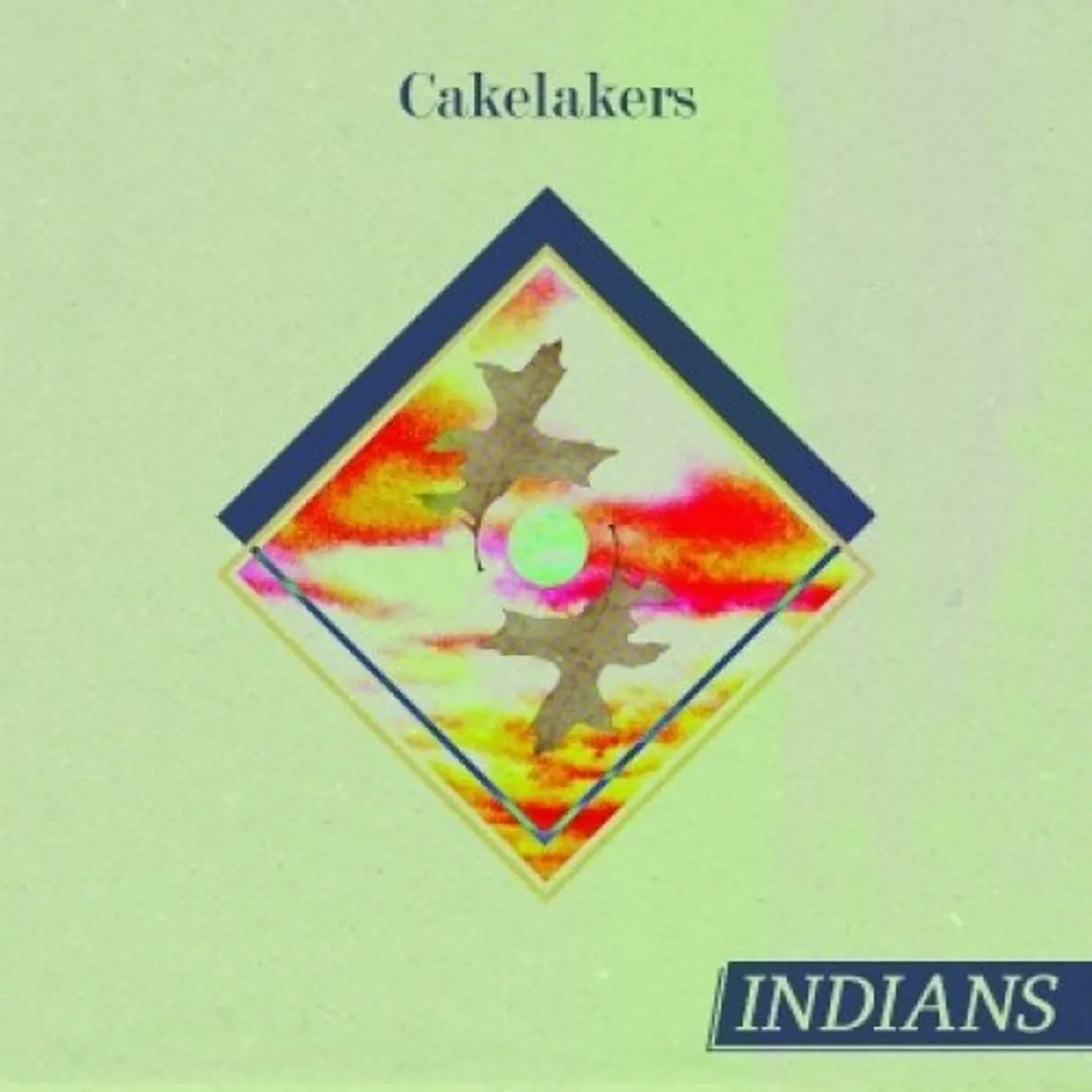 Indians CARELAKERS Vinyl Record