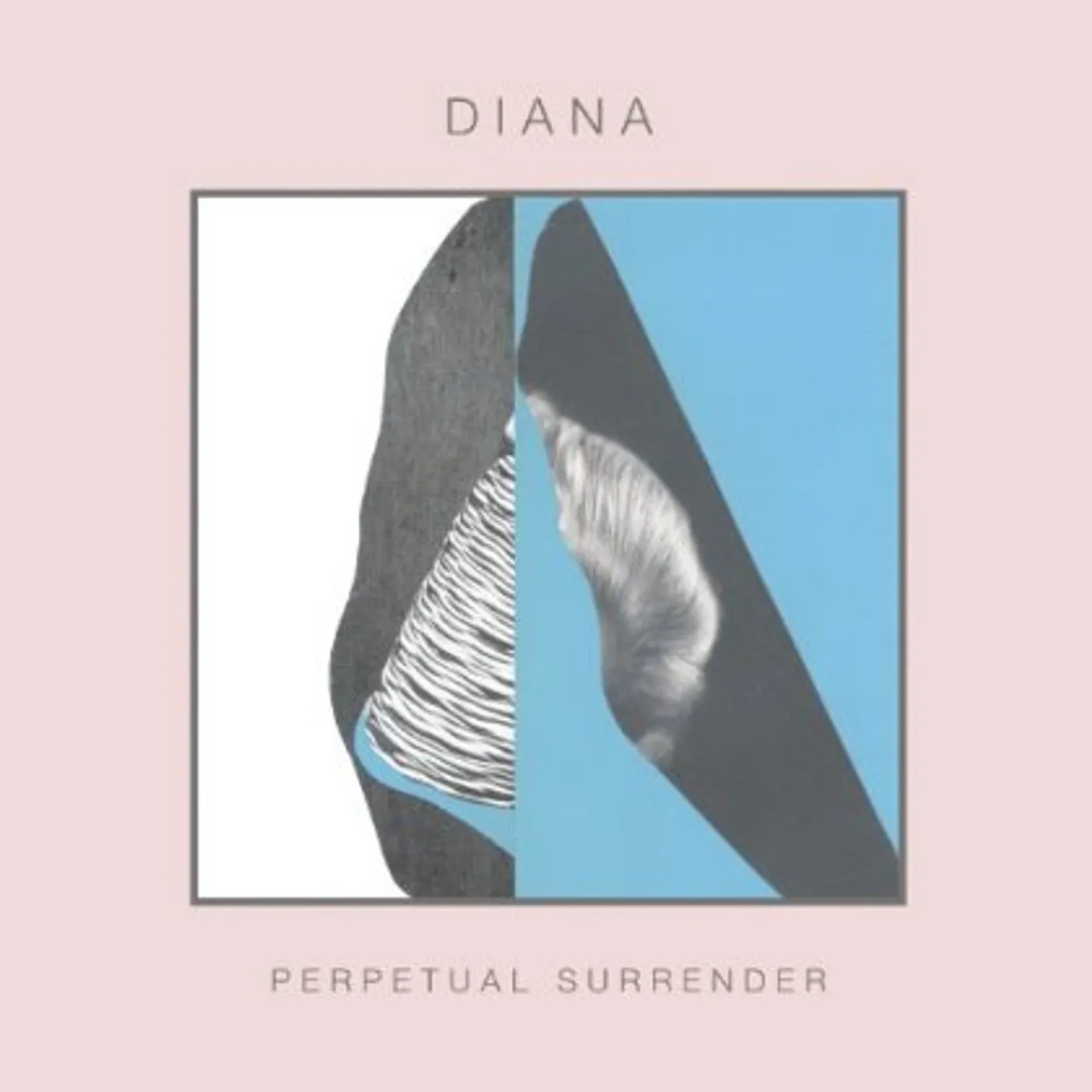 DIANA PERPETUAL SURRENDER CD