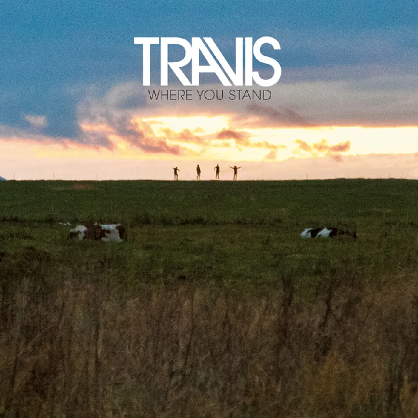 Travis Where You Stand Vinyl Record