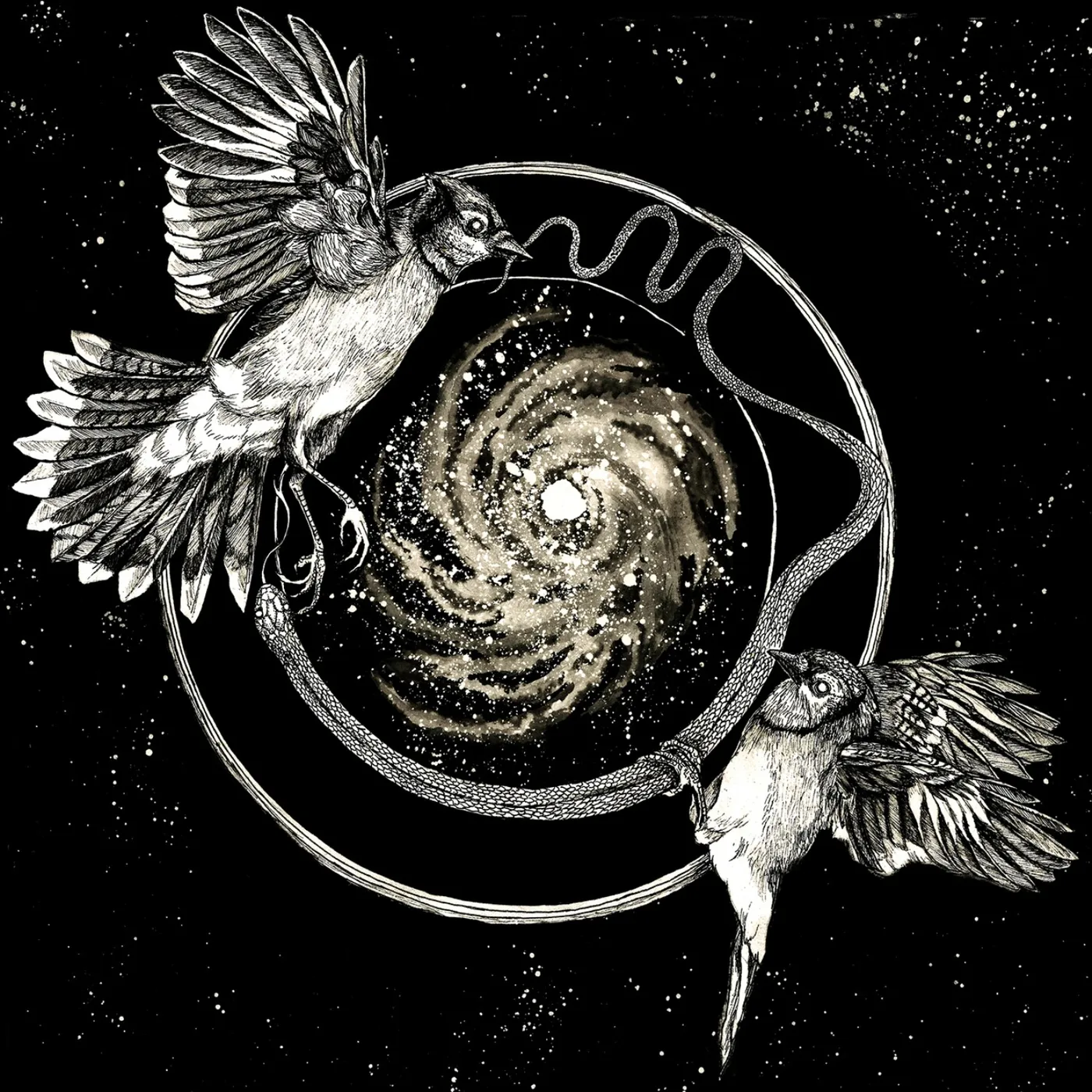 Vattnet Viskar Sky Swallower Vinyl Record