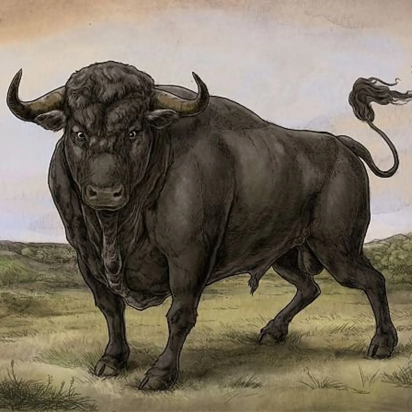 San Fermin Vinyl Record