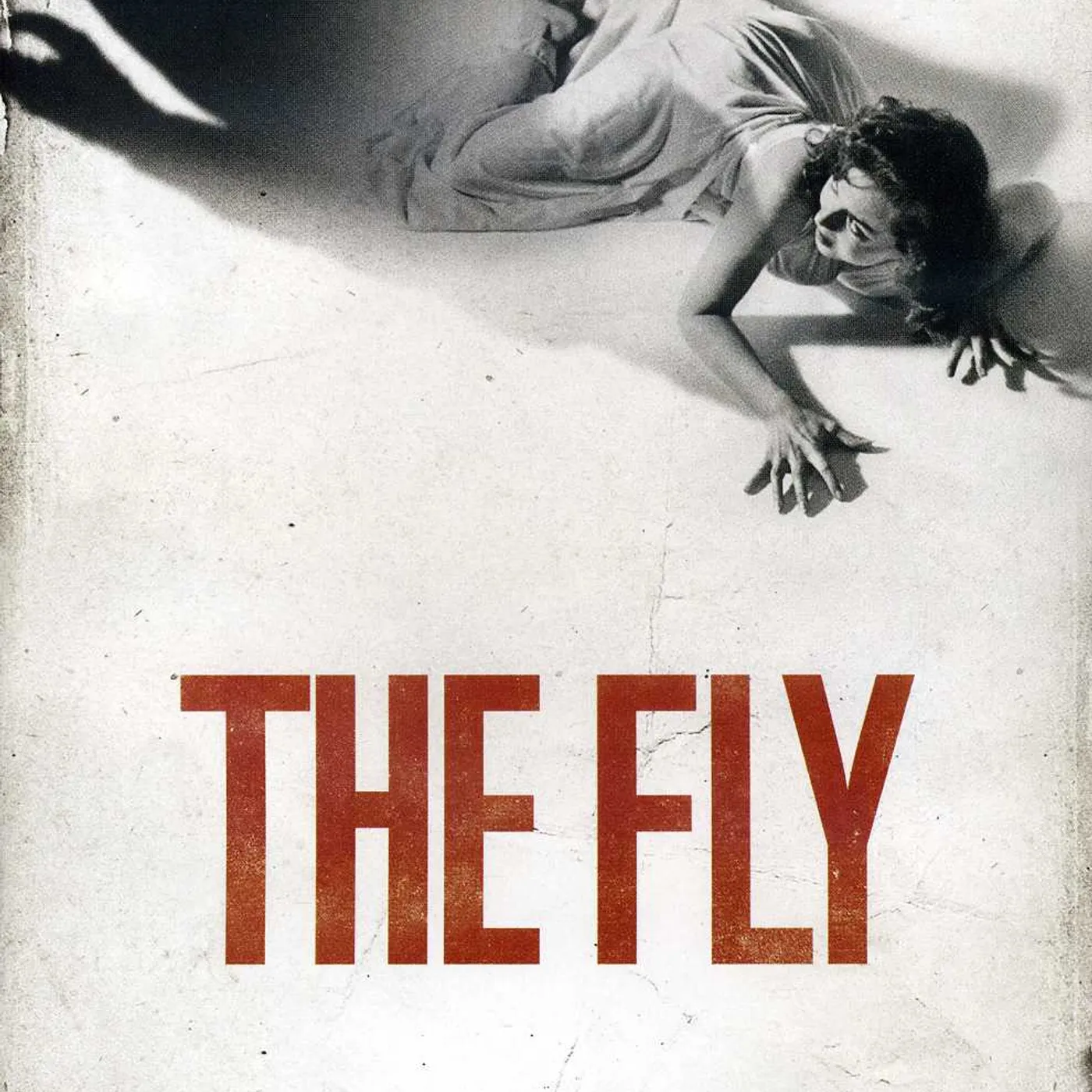 FLY DVD