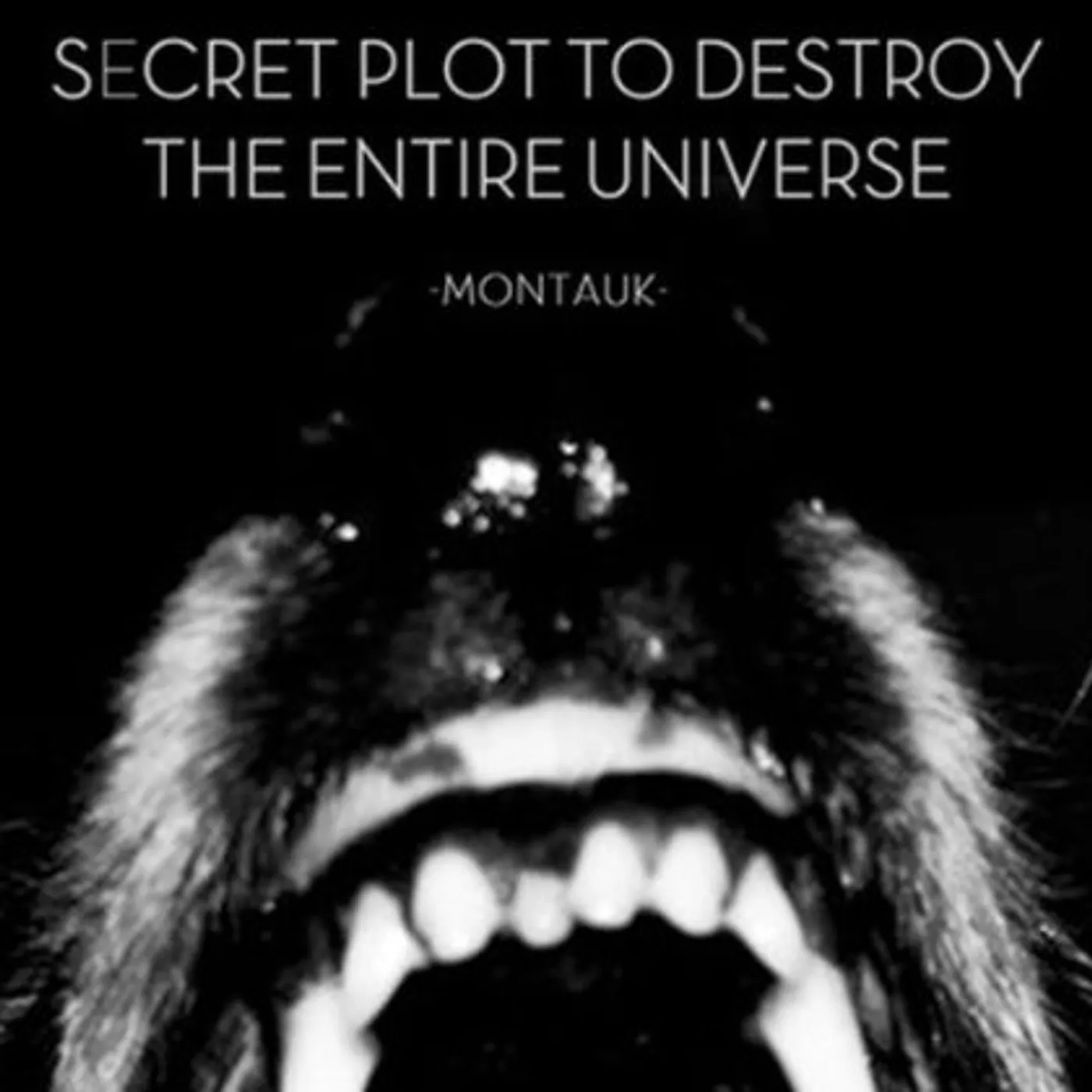 Secret Plot to Destroy the Entire Universe Montauk Vinyl Record
