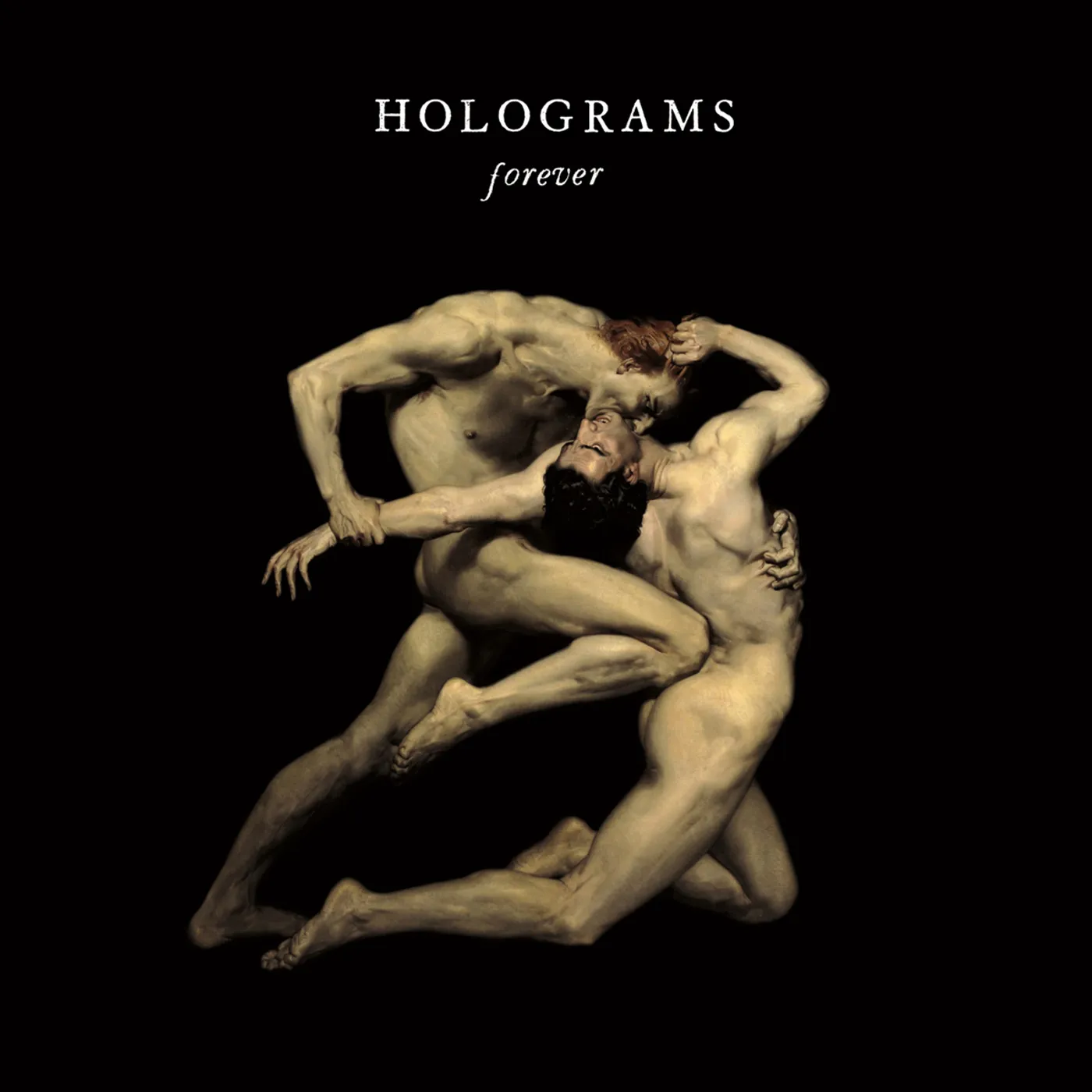 Holograms Forever Vinyl Record