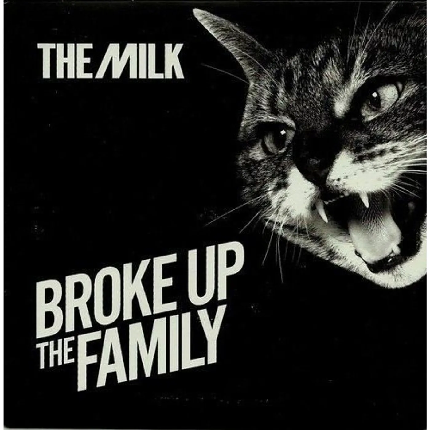 Milk Broke Up The Family Vinyl Record