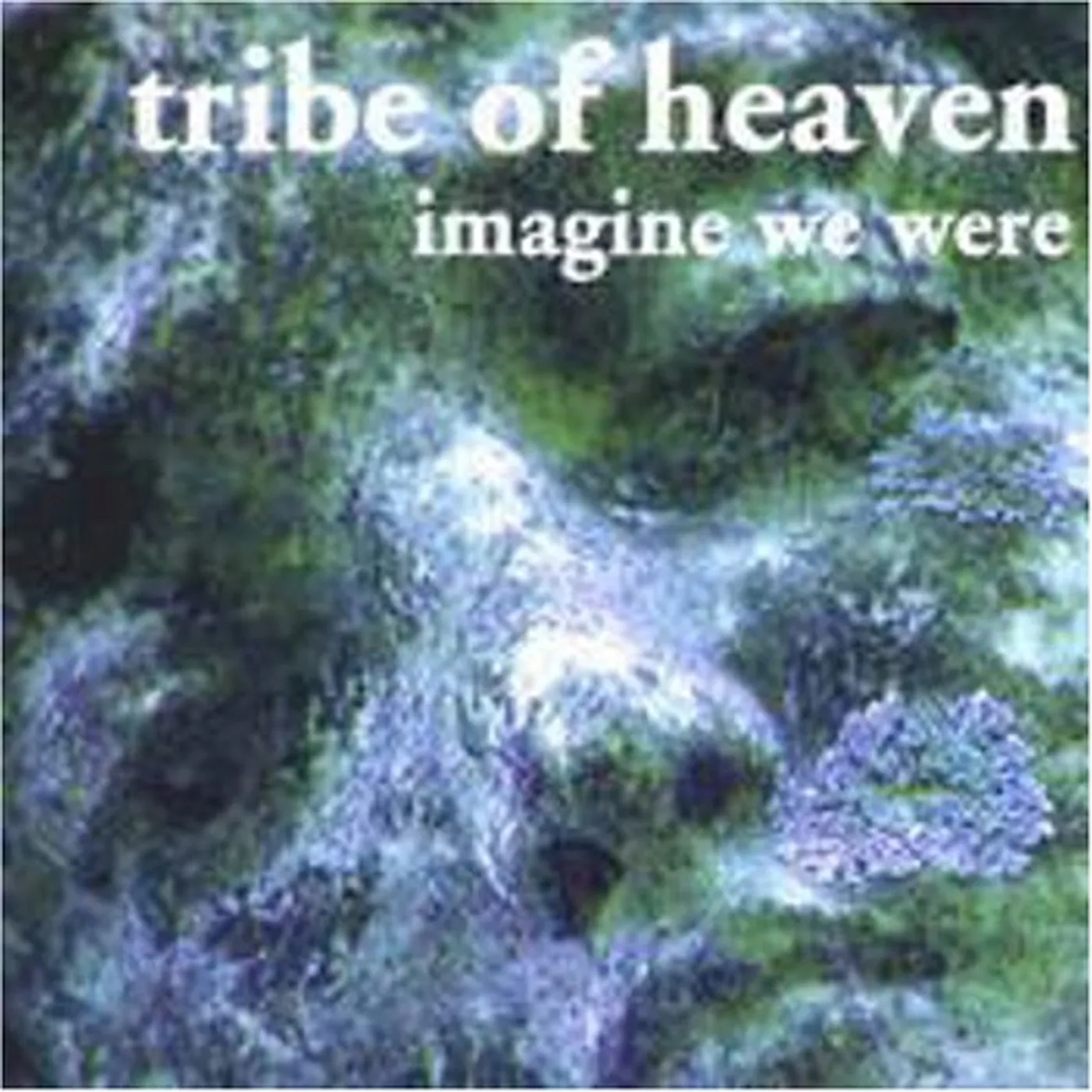 Tribe of Heaven IMAGINE WE WERE CD