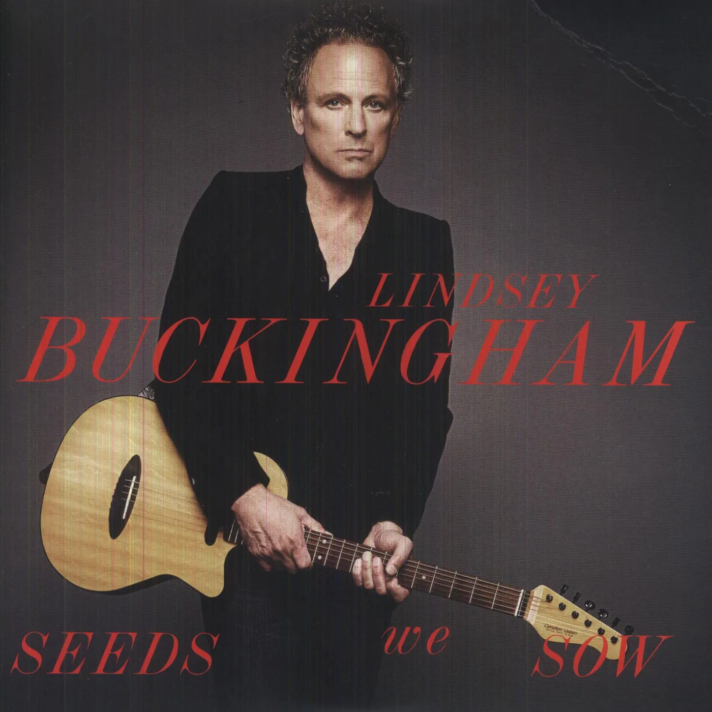 Lindsey Buckingham Seeds We Sow Vinyl Record