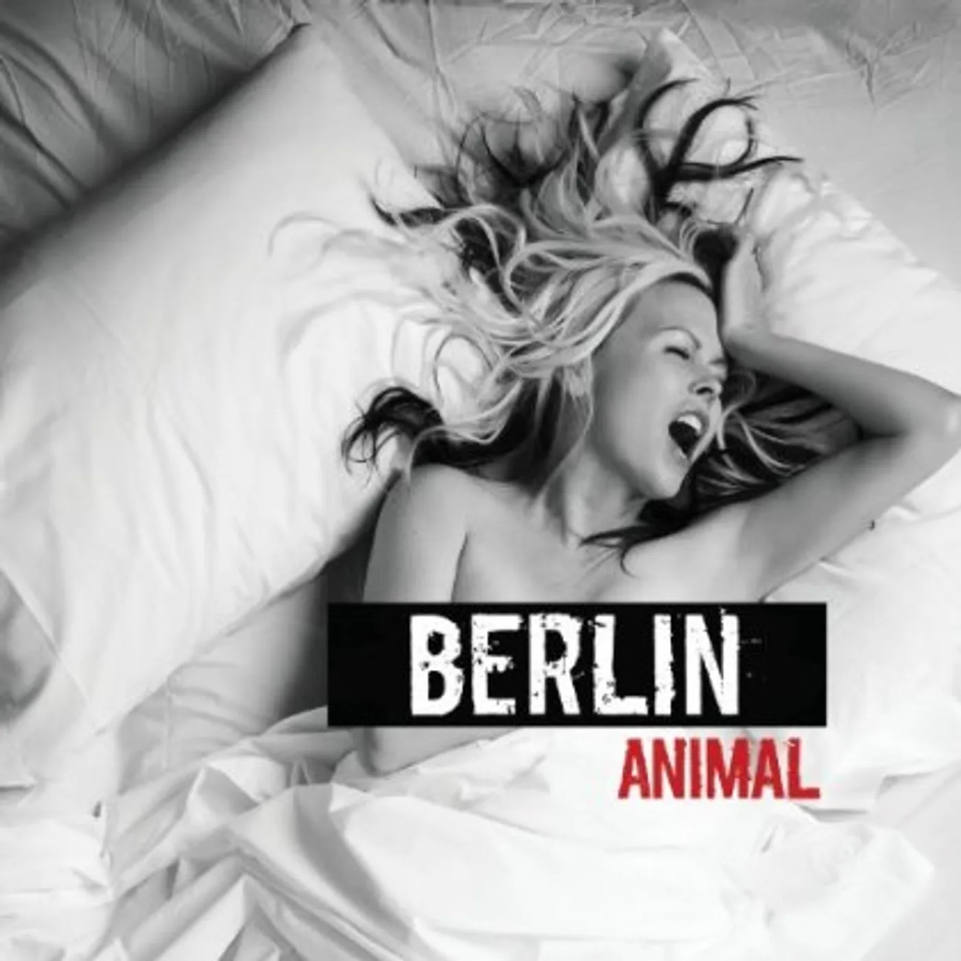 Berlin ANIMAL CD