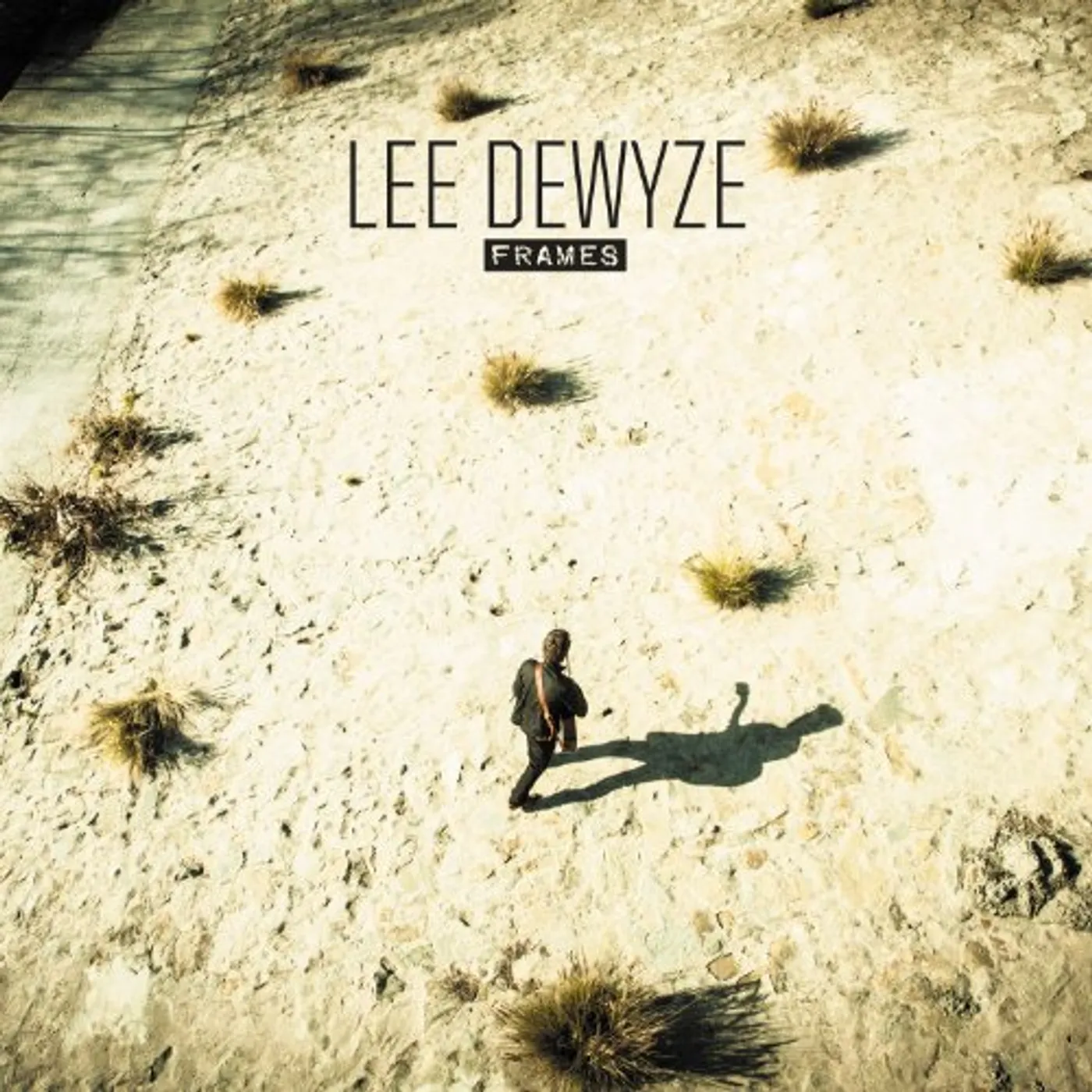 Lee DeWyze Frames Vinyl Record