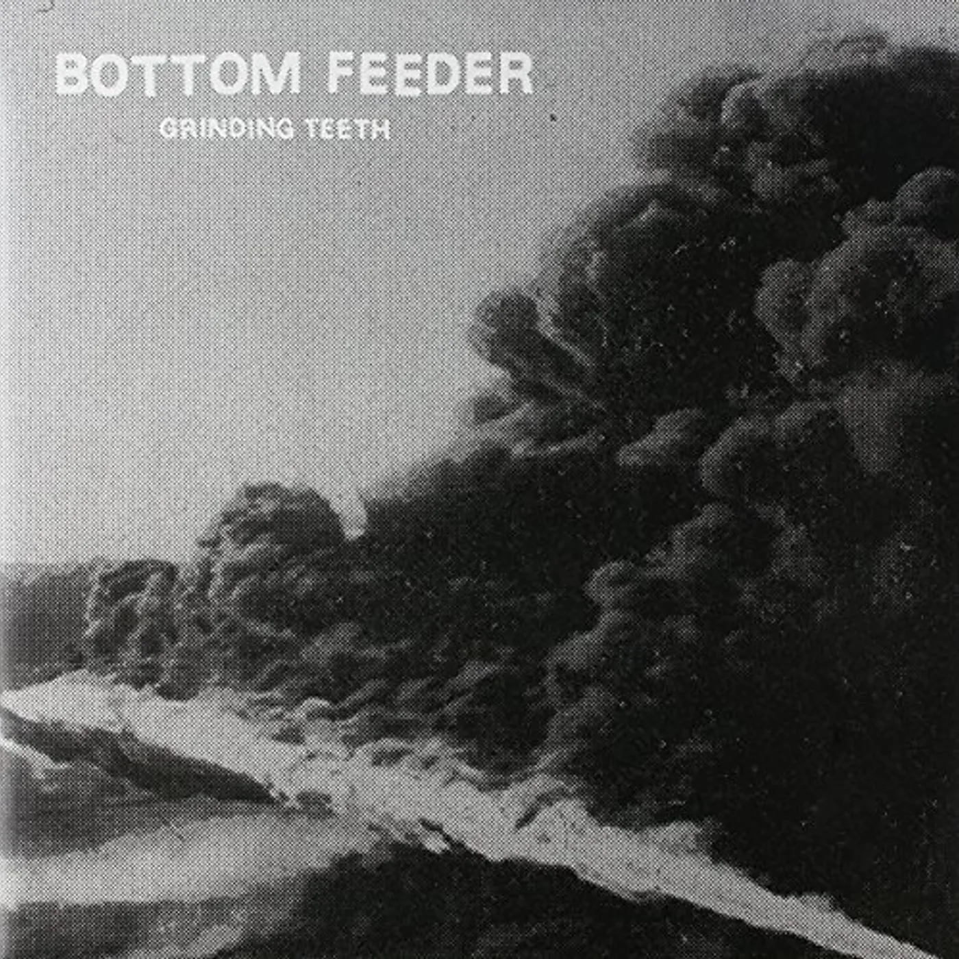 Bottom Feeders GRINDING TEETH Vinyl Record