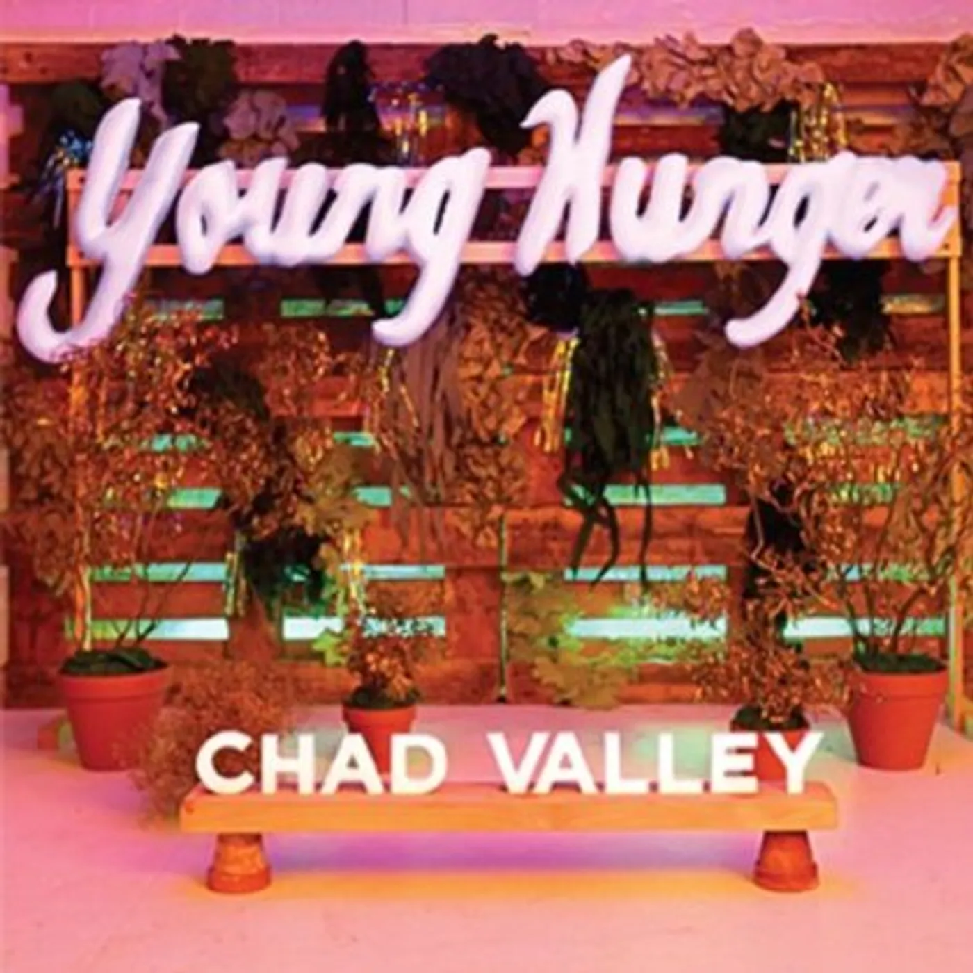 Chad Valley YOUNG HUNGER Vinyl Record