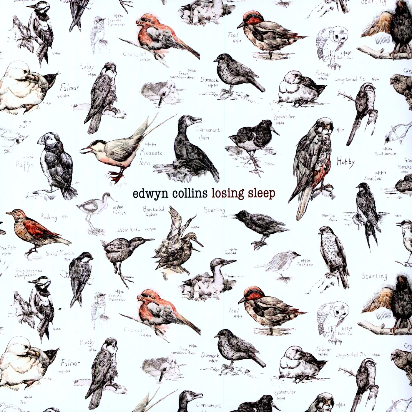 Edwyn Collins LOSING SLEEP (Vinyl)