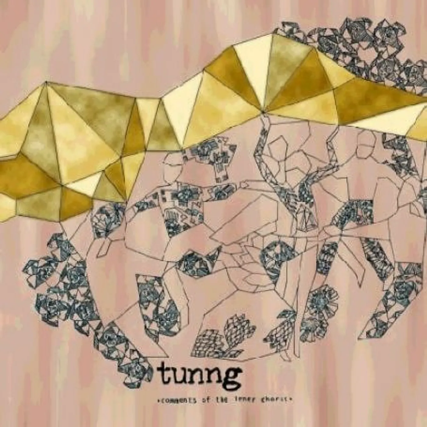Tunng Comments Of The Inner Chorus Vinyl Record
