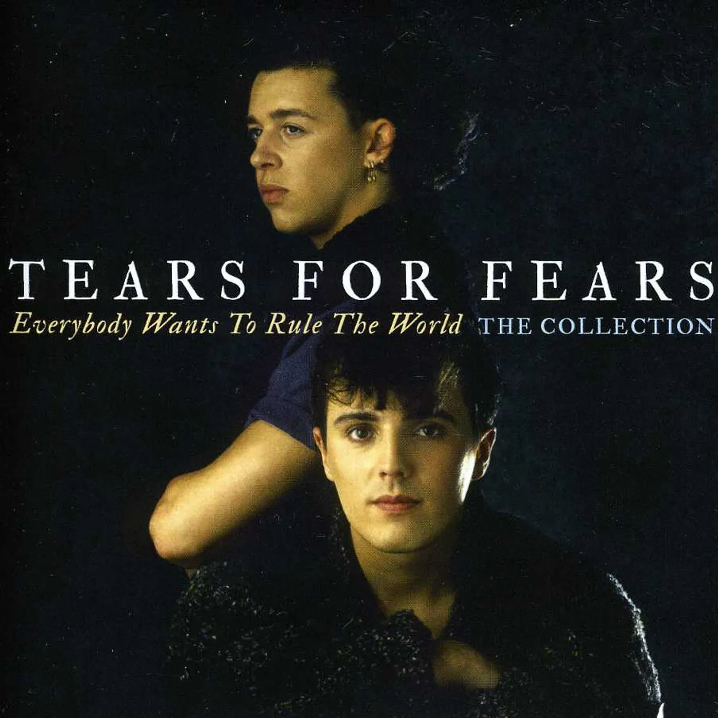 Tears For Fears EVERYBODY WANTS TO RULE THE WORLD: THE COLLECTION CD