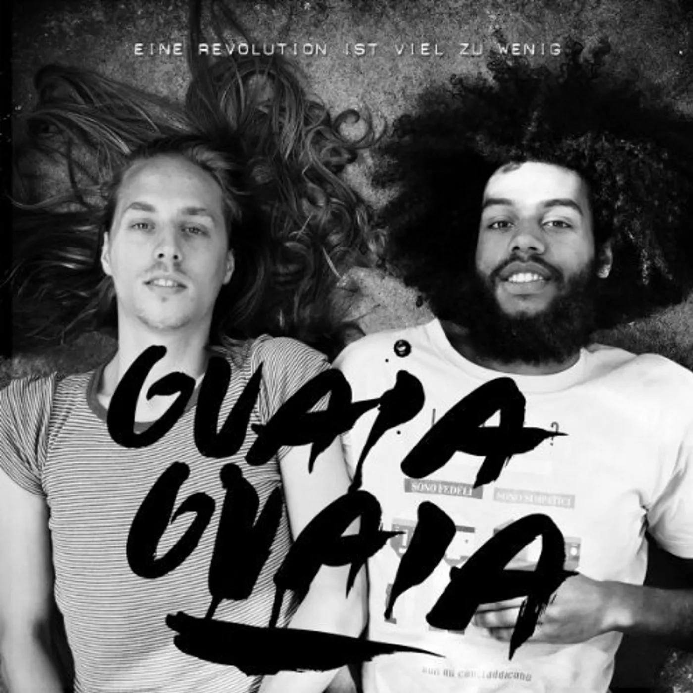 Guaia Guaia EINE REVOLUTION IST VIEL ZU WENG Vinyl Record