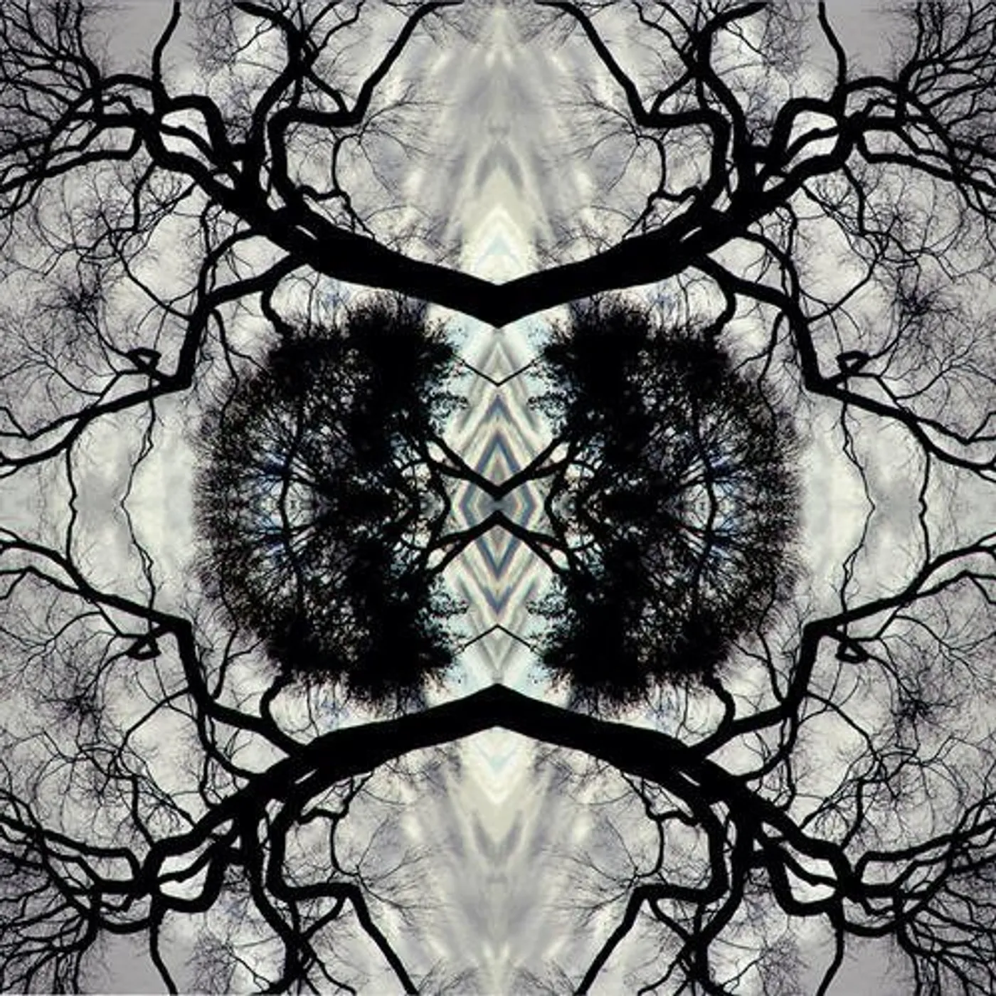 Adam Rudolph SONIC MANDALA GO: ORGANIC ORCHESTRA CD