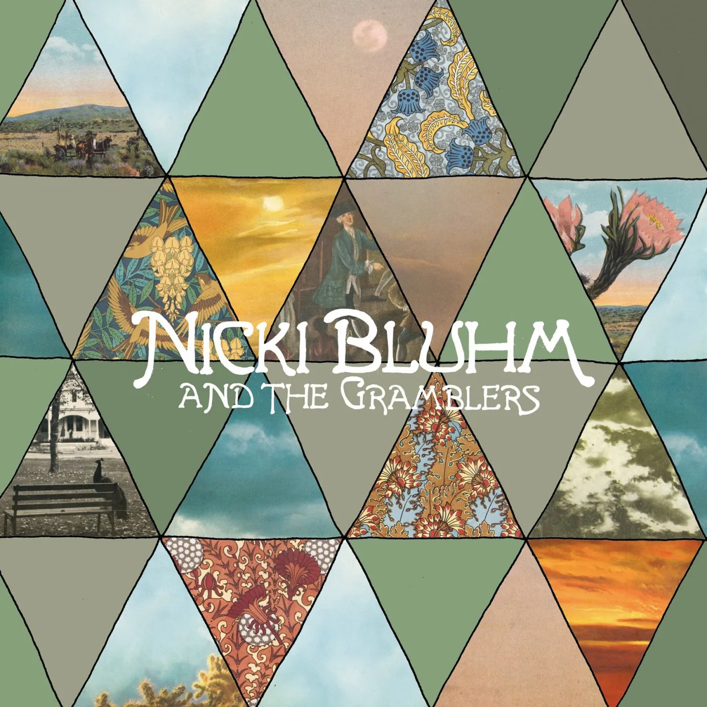 Nicki Bluhm and the Gramblers CD