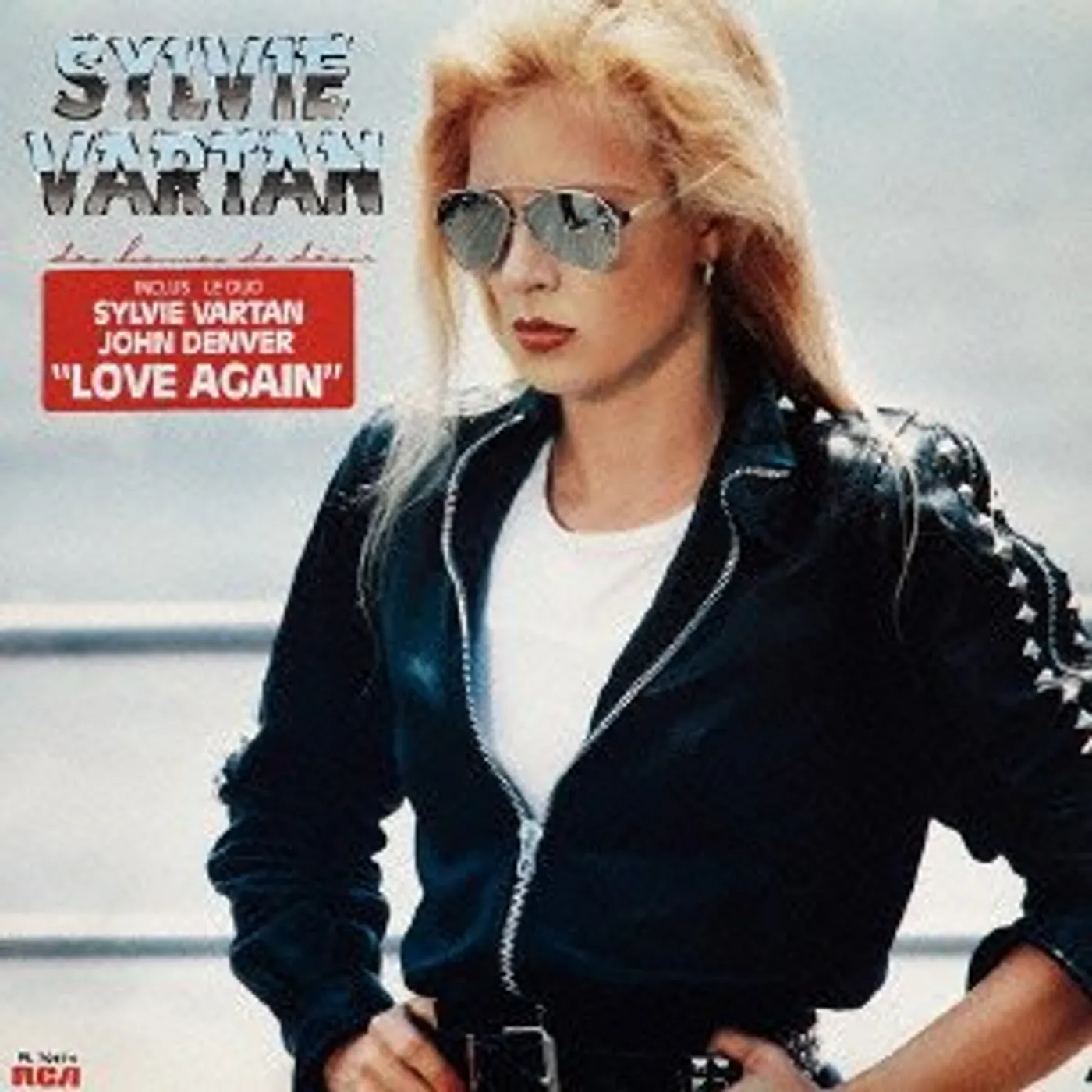 Sylvie Vartan DES HEURES DE DESIR CD