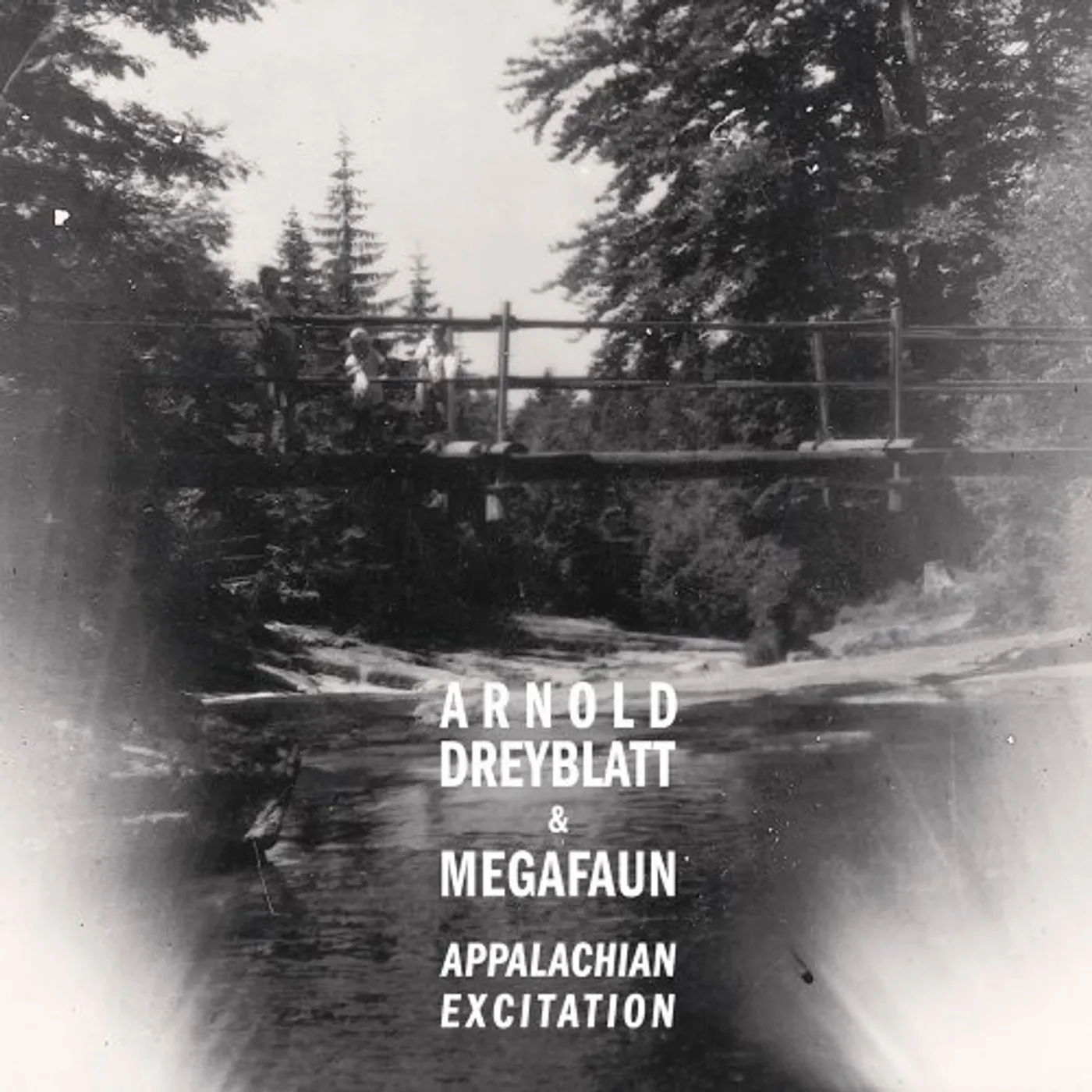 Arnold Dreyblatt Appalachian Excitation Vinyl Record
