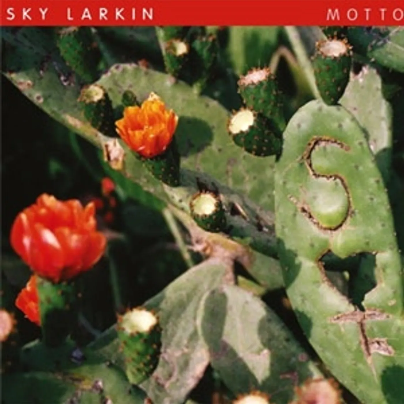 Sky Larkin Motto Vinyl Record