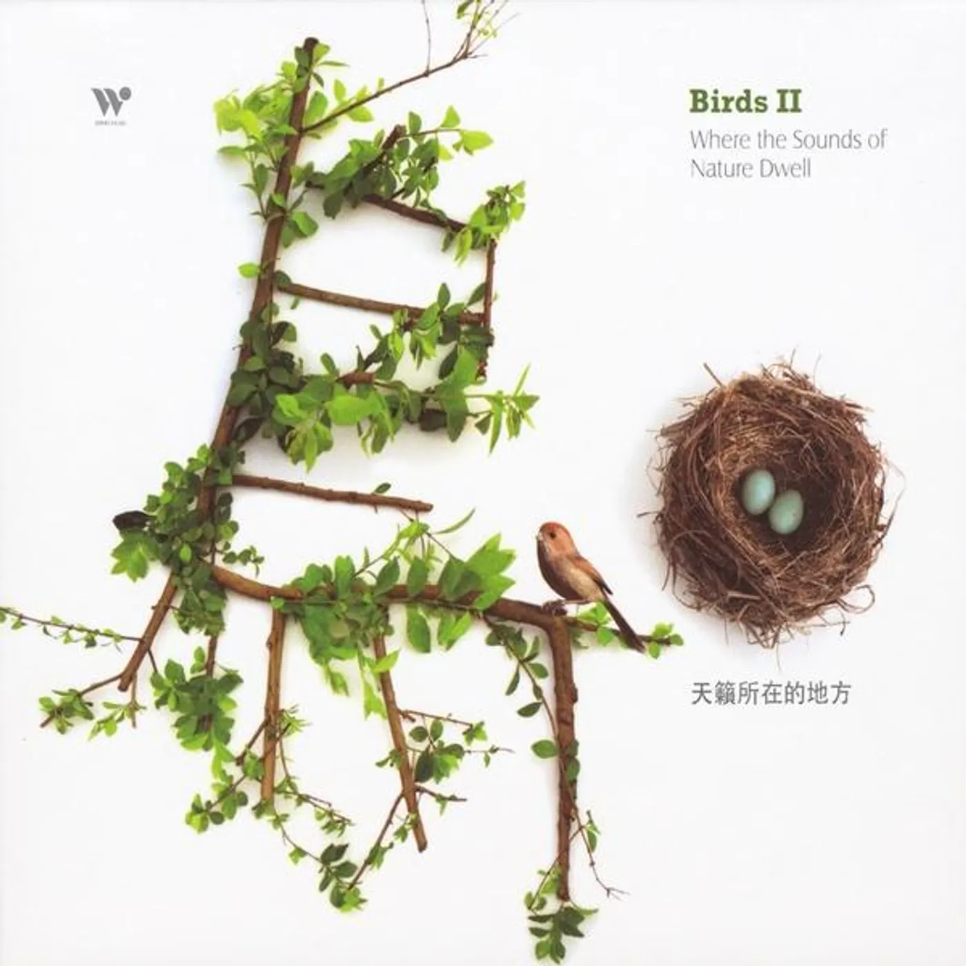 Nancy Rumbel BIRDS II: WHERE SOUNDS OF NATURE DWELL CD