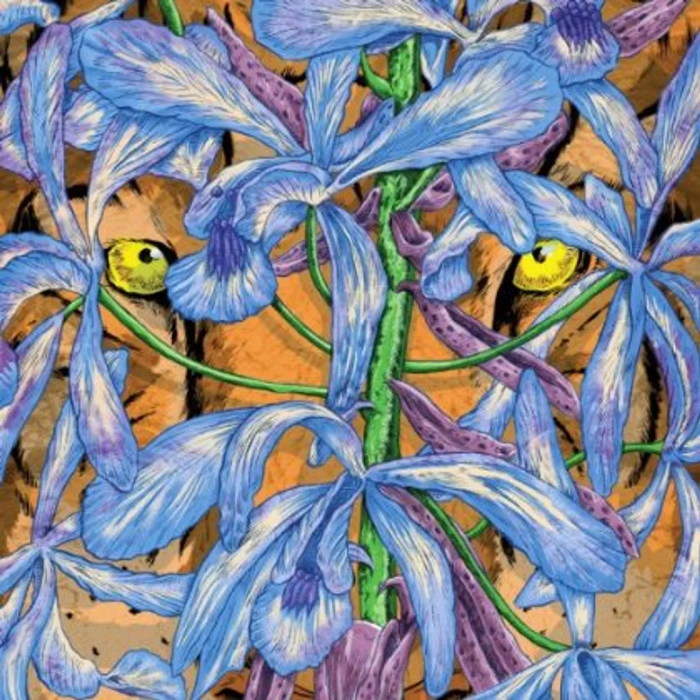 Second Storey Margosa Heights Vinyl Record