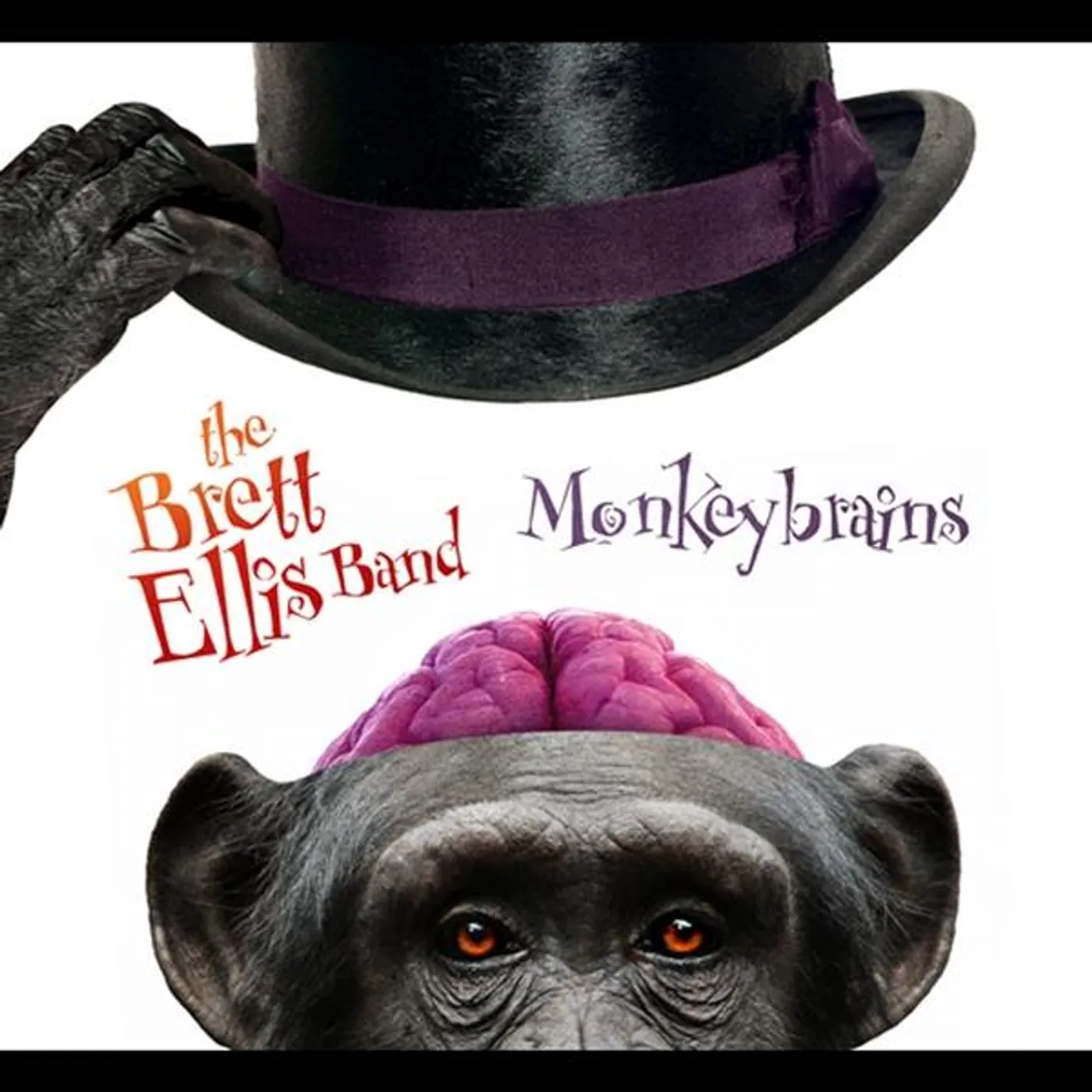 Brett Ellis MONKEY BRAINS CD