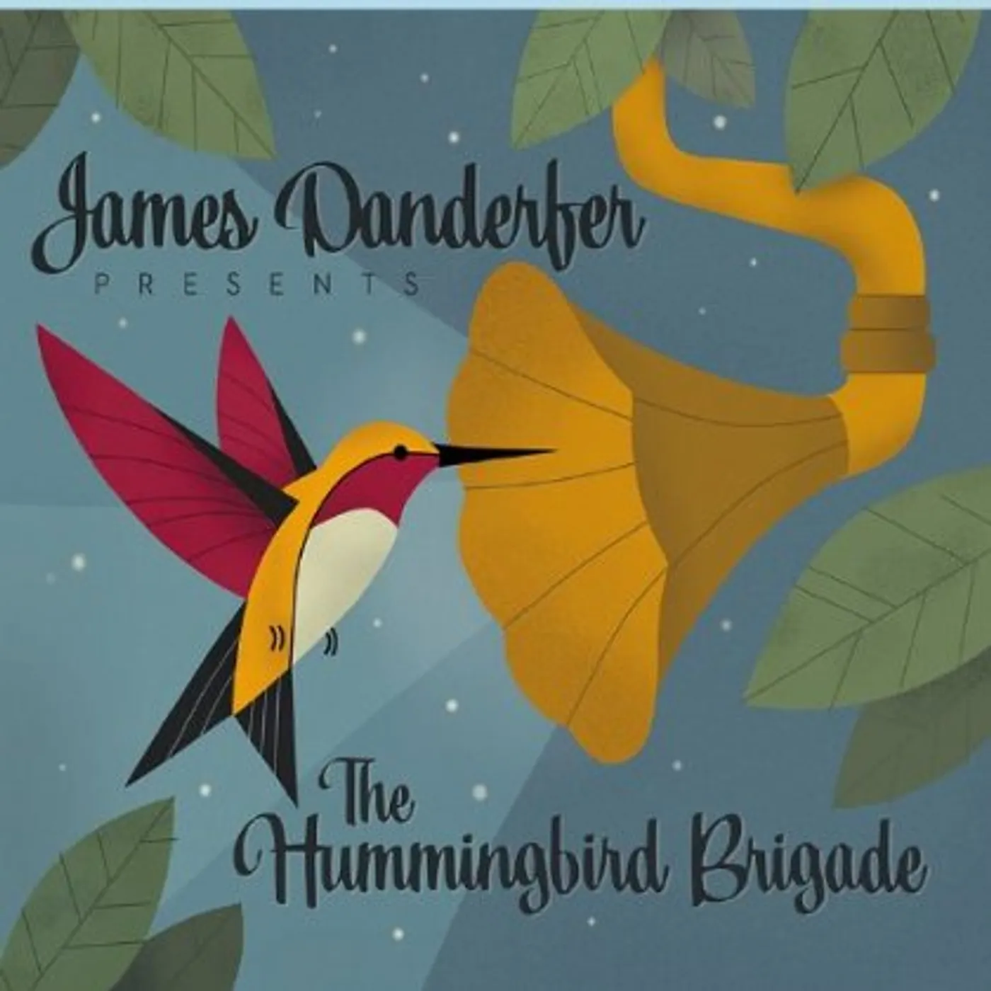 James Danderfer HUMMINGBIRD BRIGADE CD