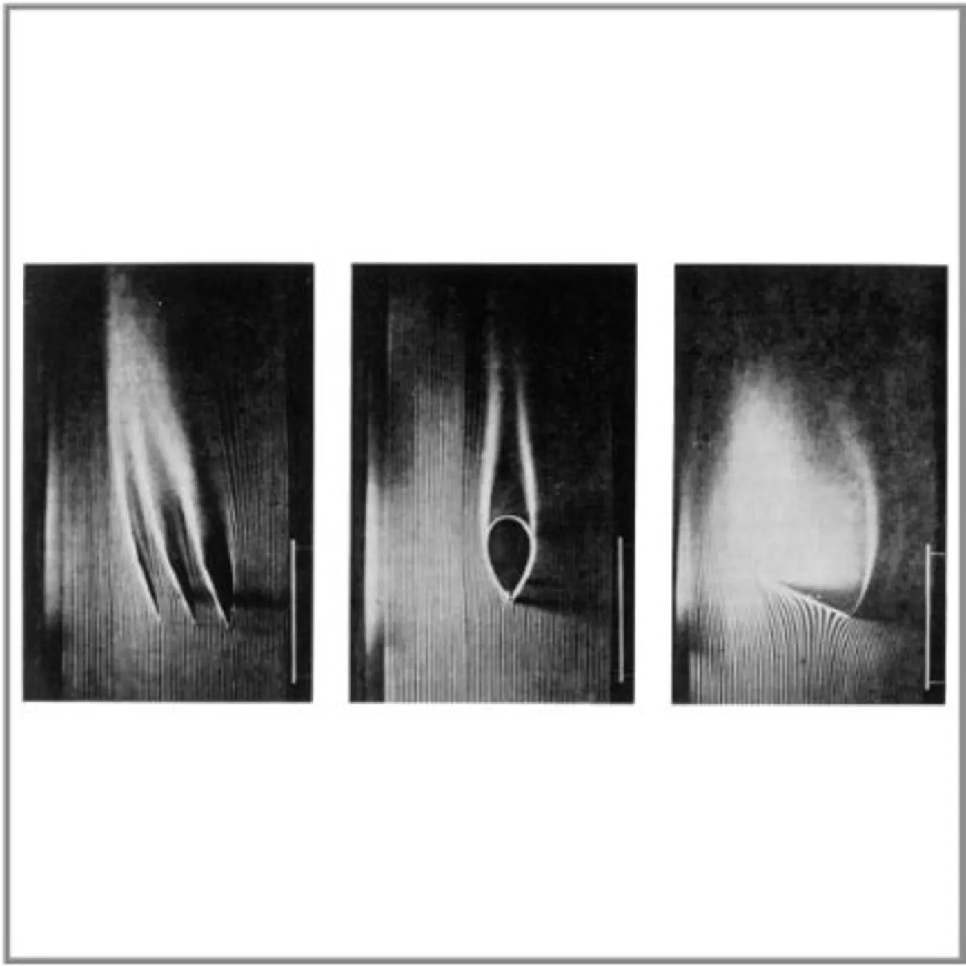 Wymond Miles Passion Plays Vinyl Record