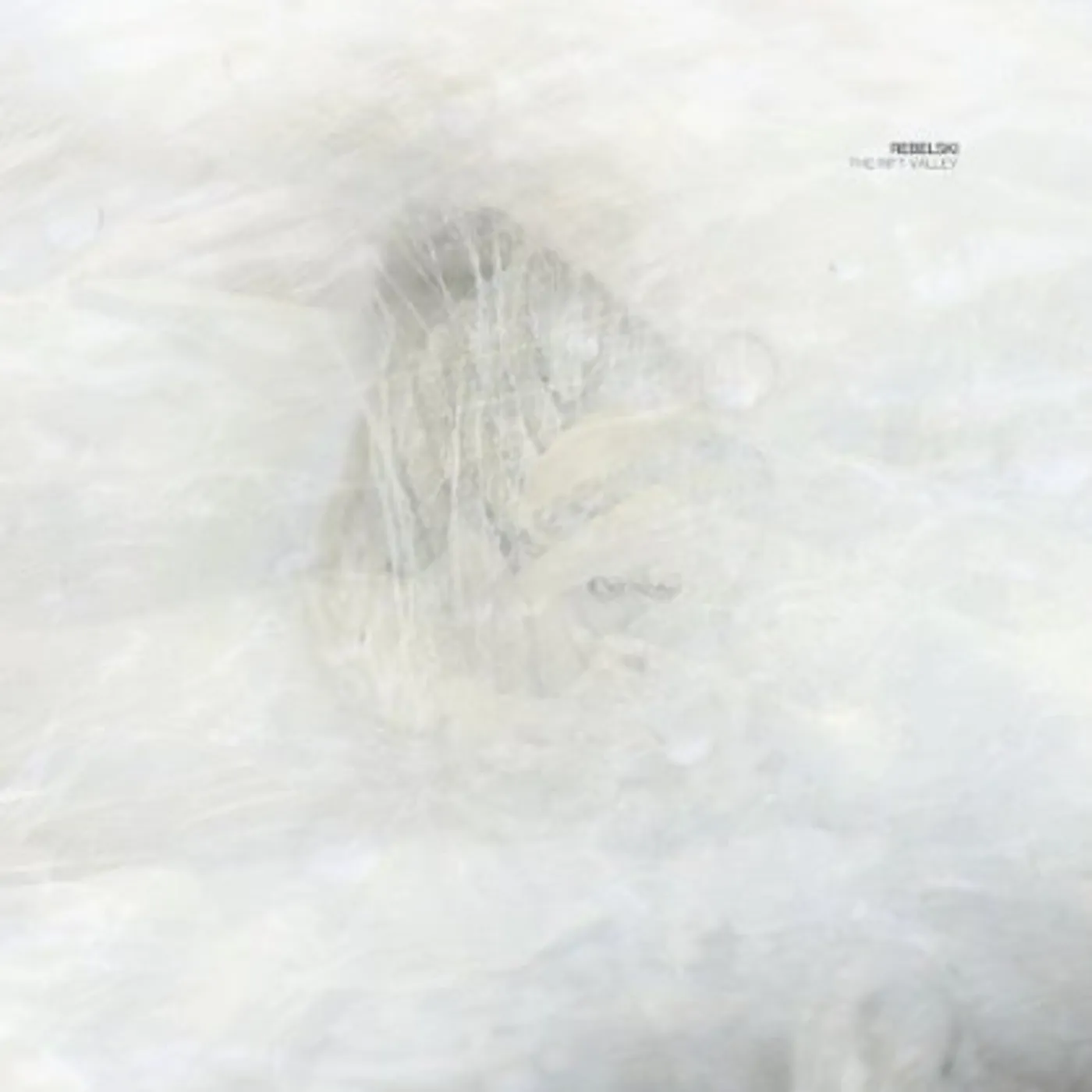 Rebelski RIFT VALLEY Vinyl Record