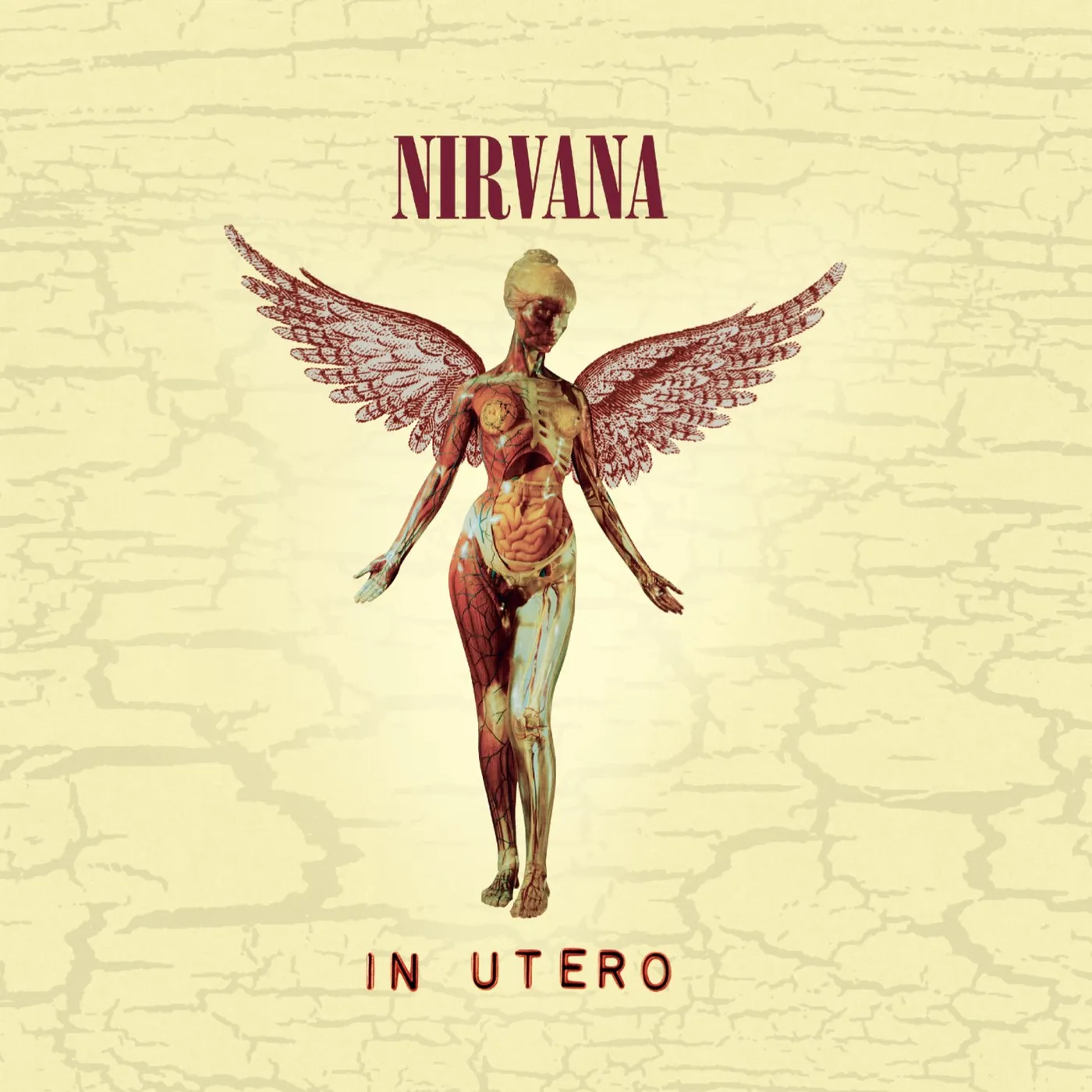 Nirvana IN UTERO (20TH ANNIVERSARY EDITION) CD