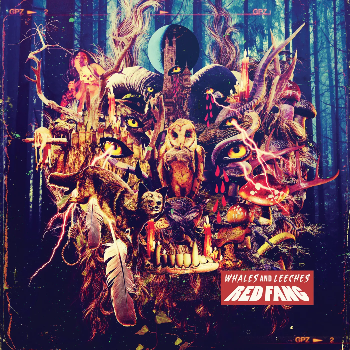 Red Fang WHALES & LEECHES CD