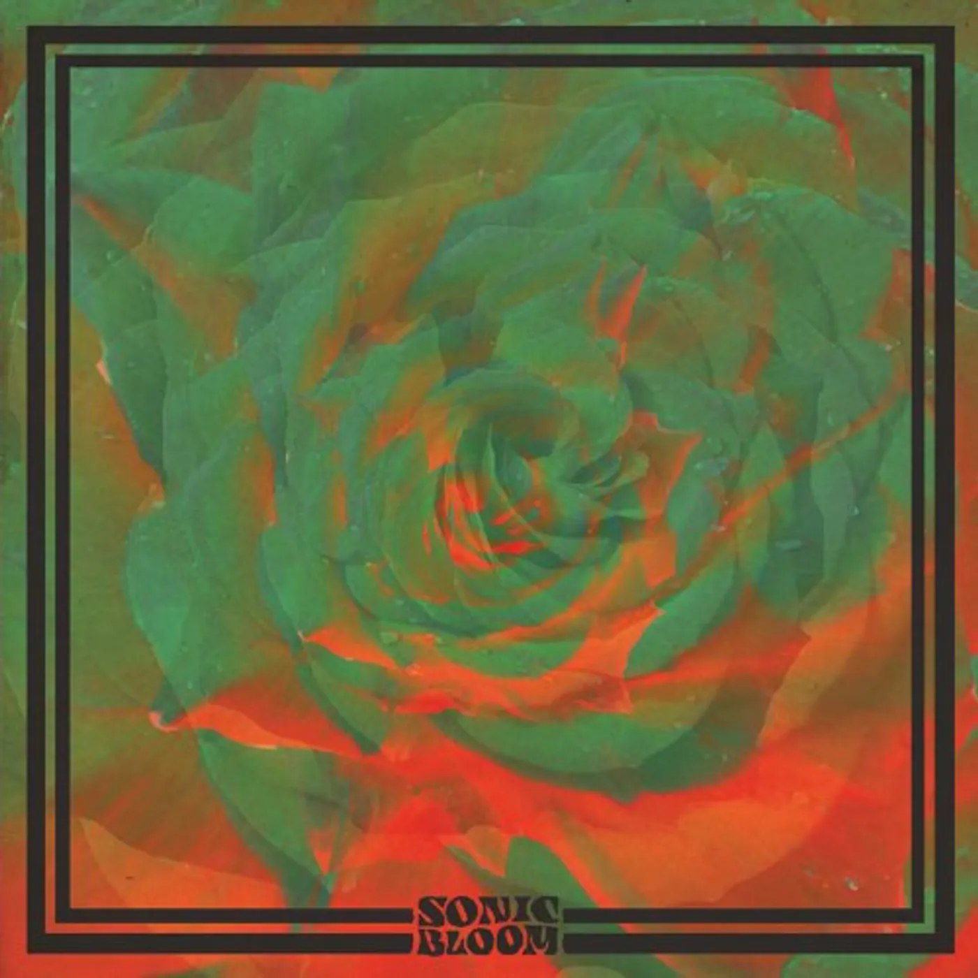 Night Beats Sonic Bloom Vinyl Record