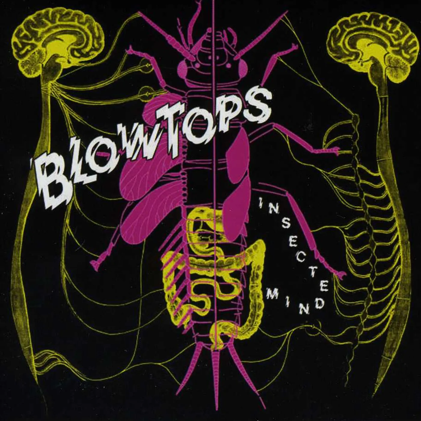 The Blowtops INSECTED MIND CD