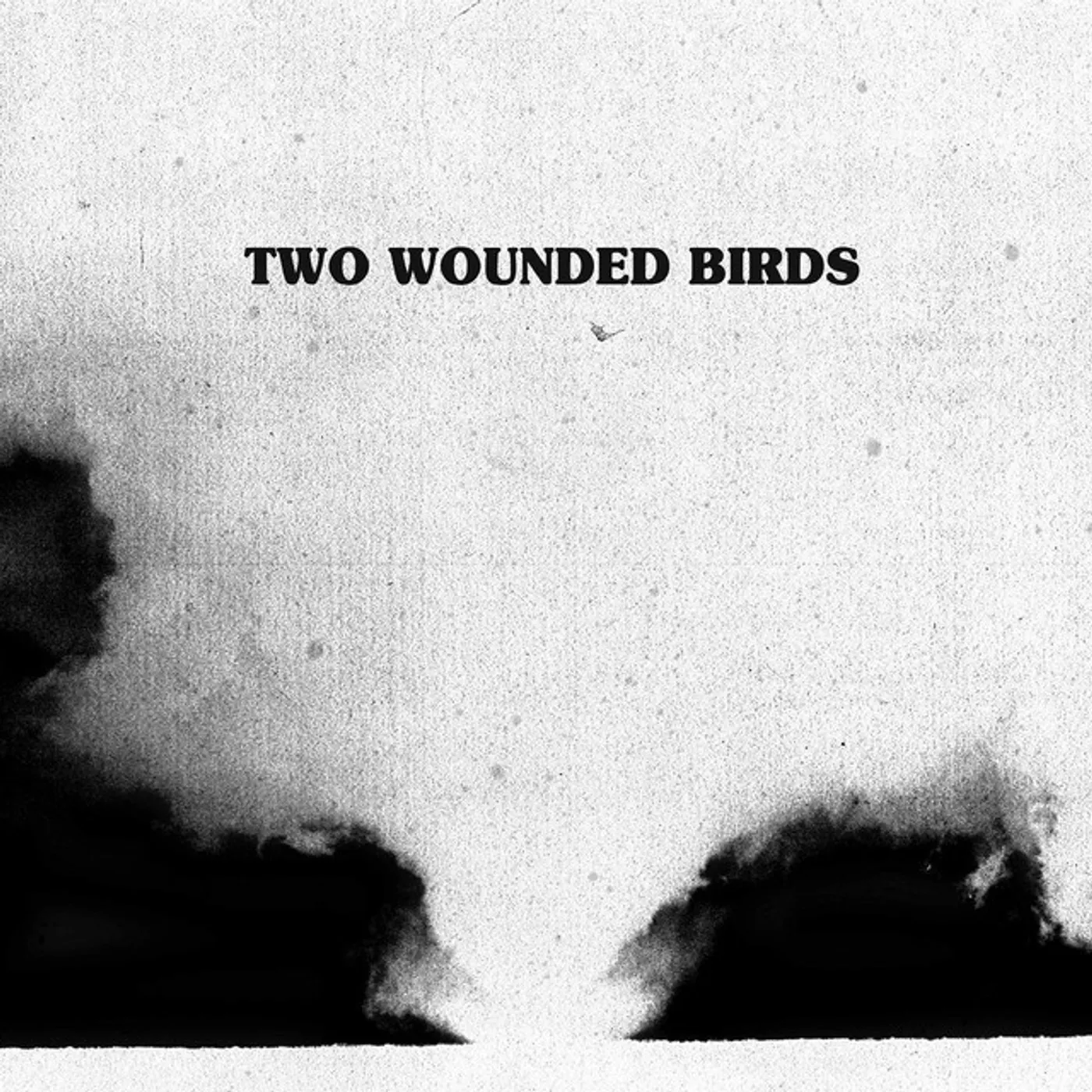 Two Wounded Birds Vinyl Record