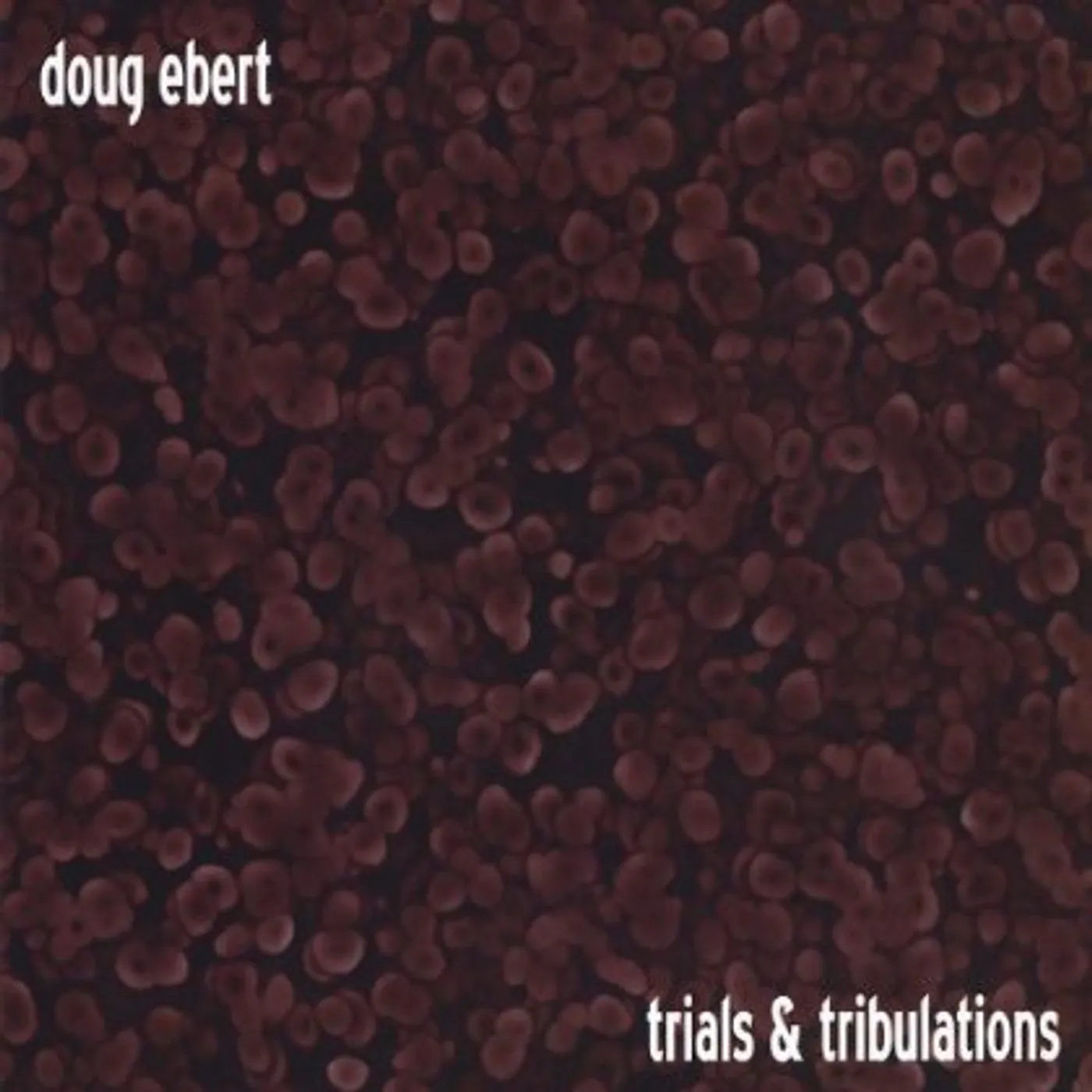 Doug Ebert TRIALS & TRIBULATIONS CD