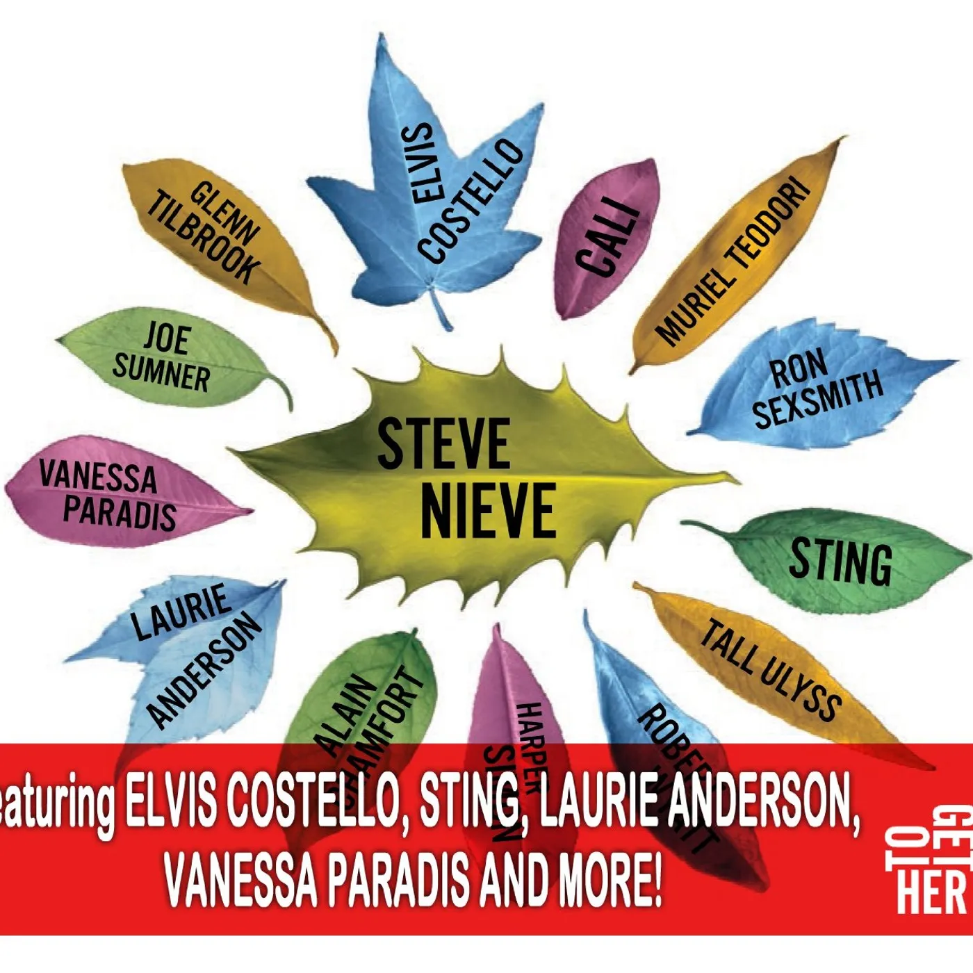 Steve Nieve TOGETHER CD