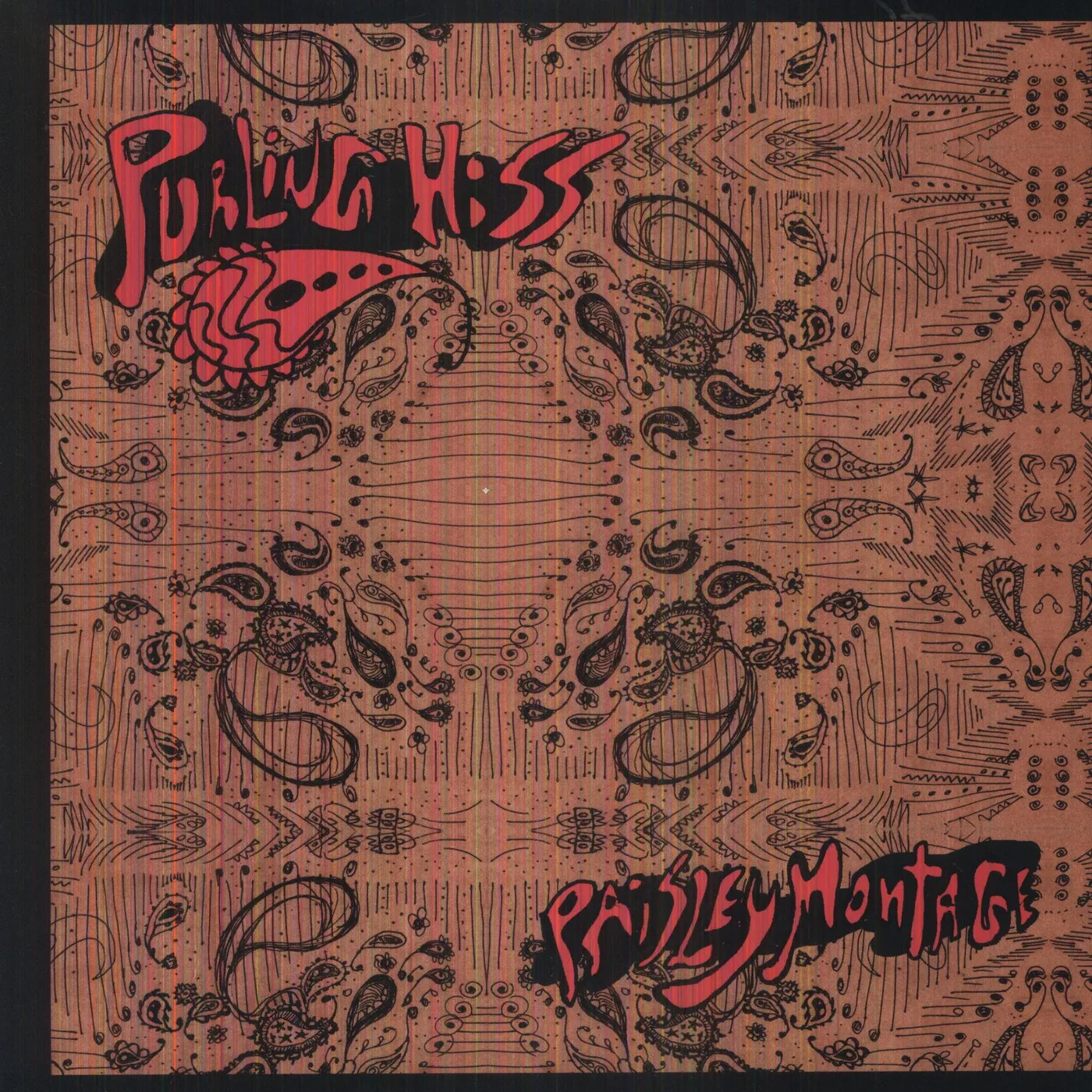 Purling Hiss Paisley Montage Vinyl Record
