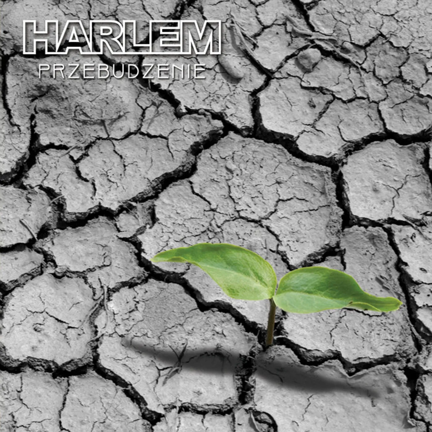 Harlem PRZEBUDZENIE CD