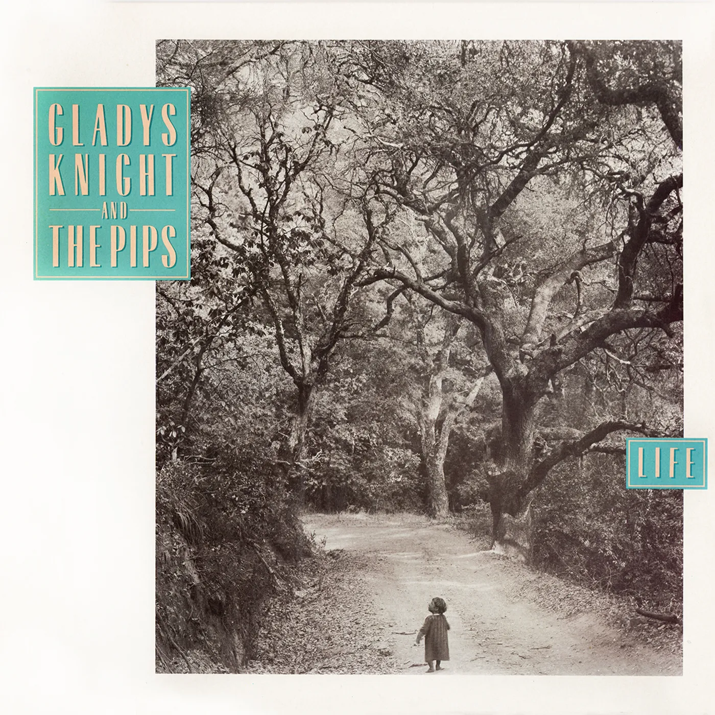 Gladys Knight & The Pips LIFE CD