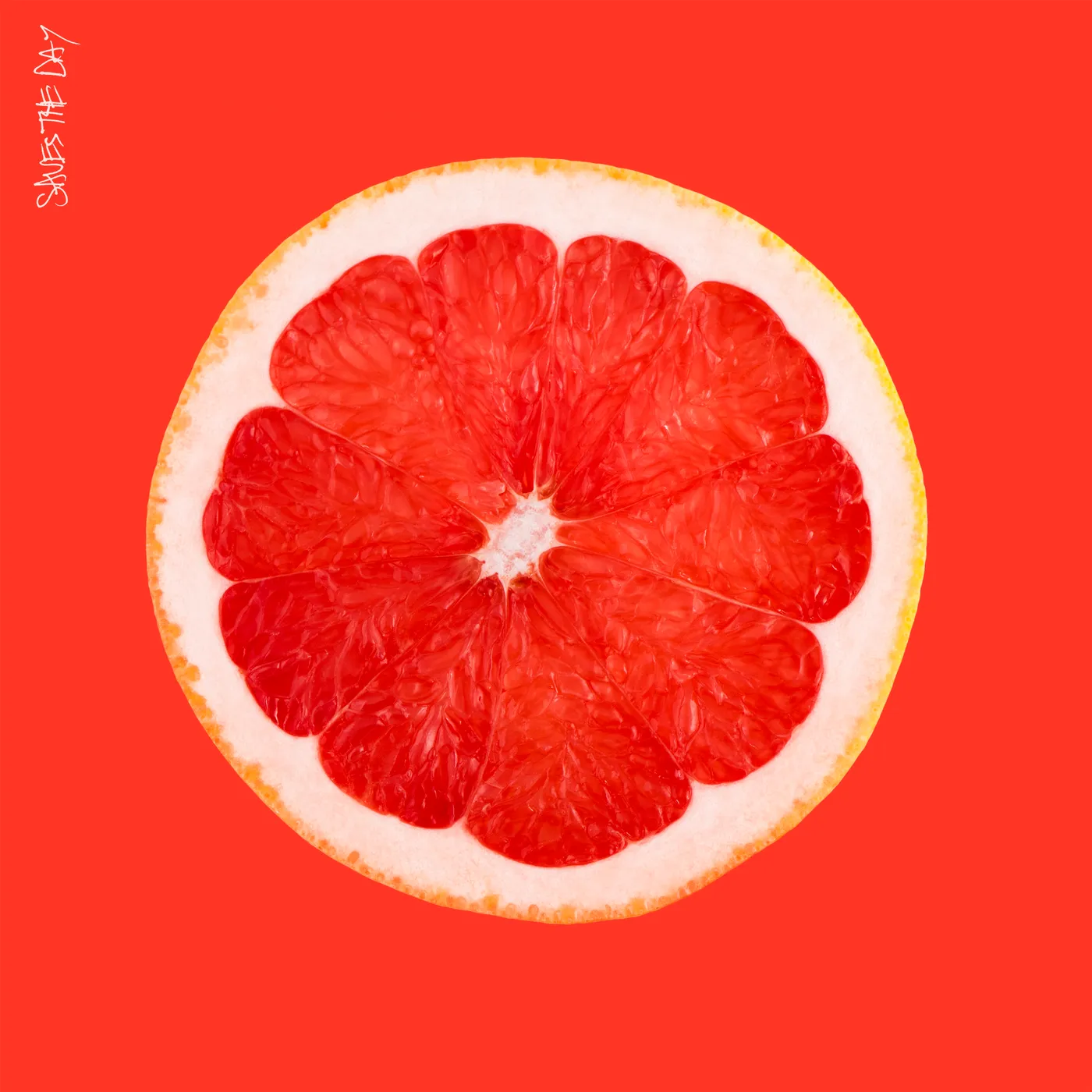 SAVES THE DAY CD