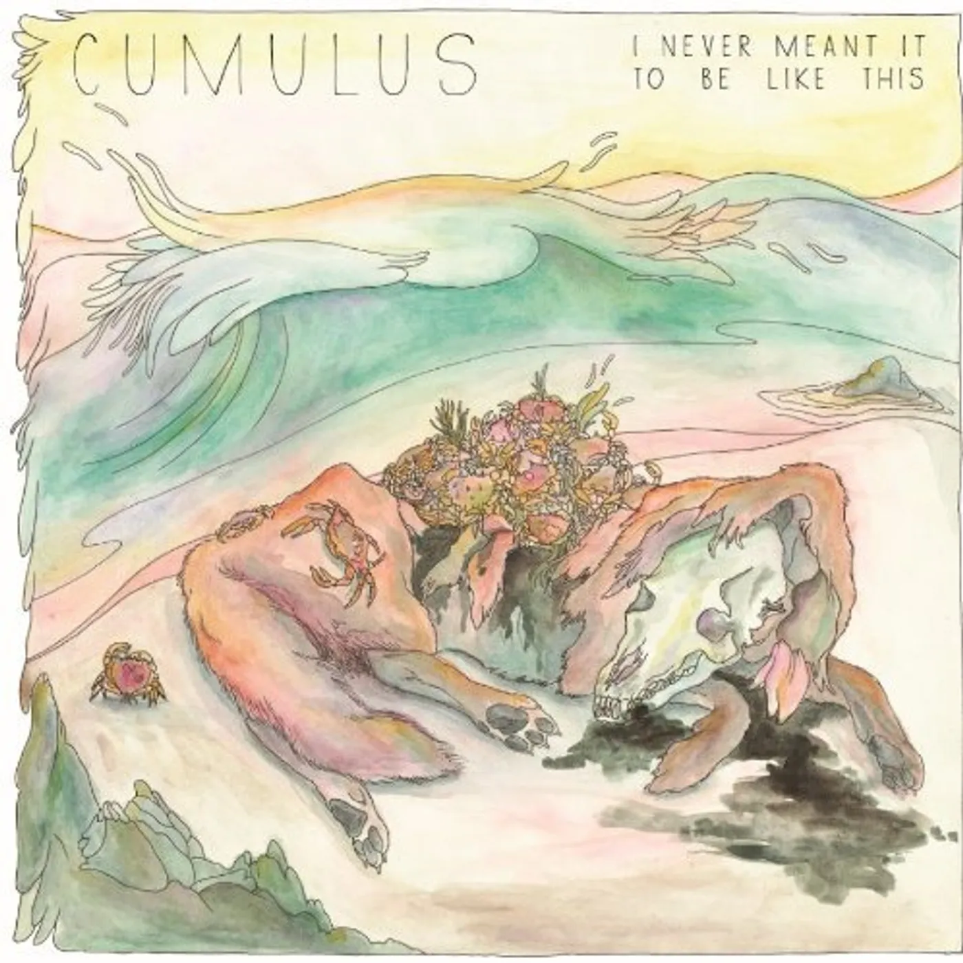 Cumulus I Never Meant It To Be Like Th Is Vinyl Record