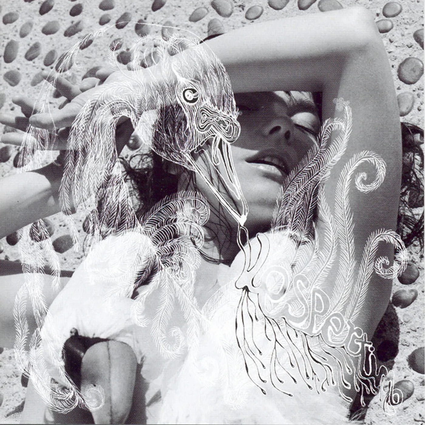 Björk Vespertine Vinyl Record