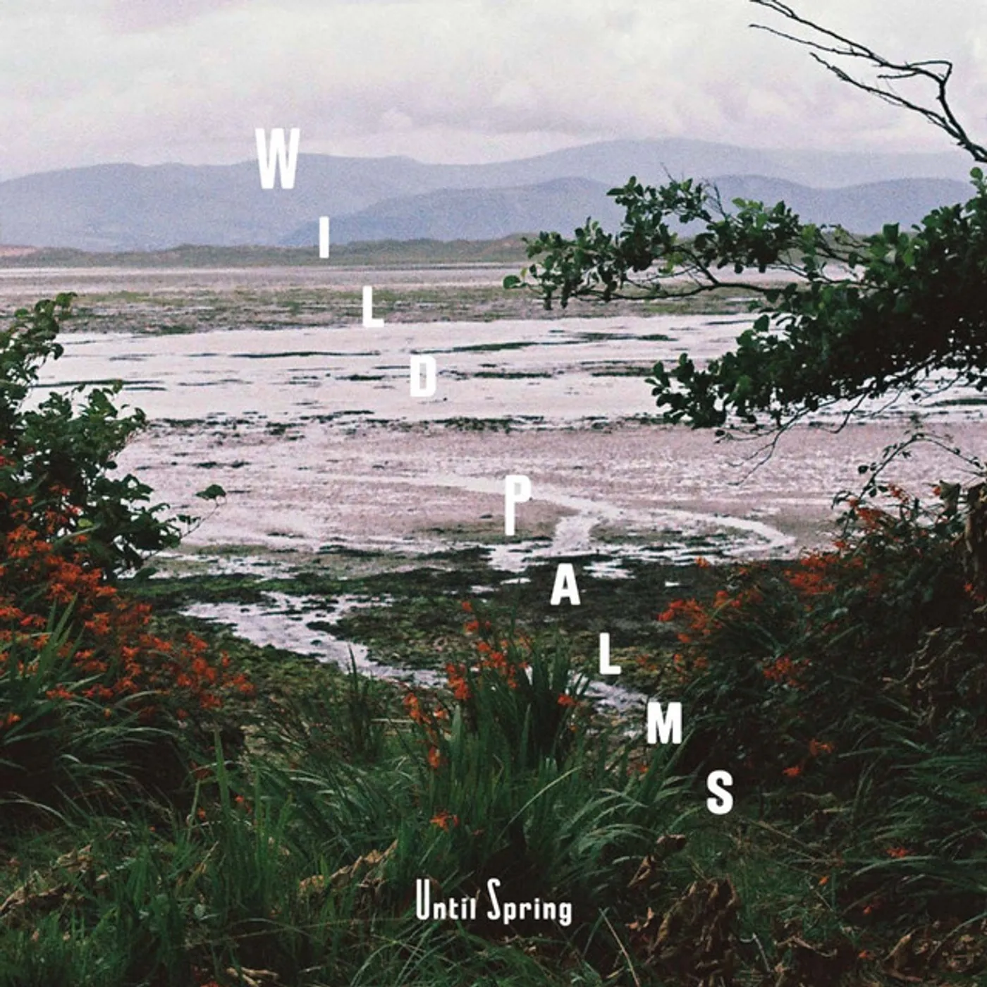 Wild Palms Until Spring Vinyl Record